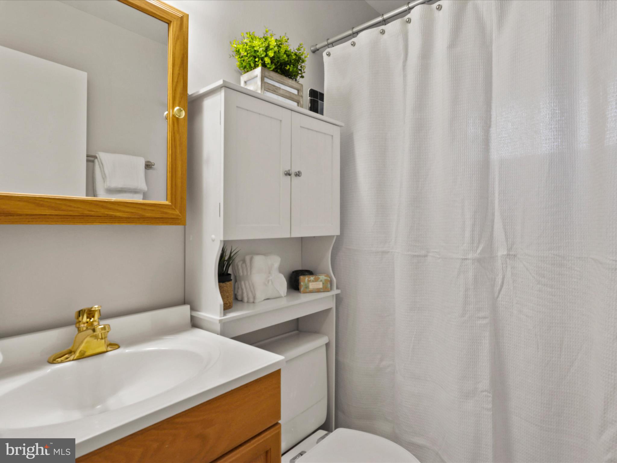 SPRINGFIELD - Residential Lease