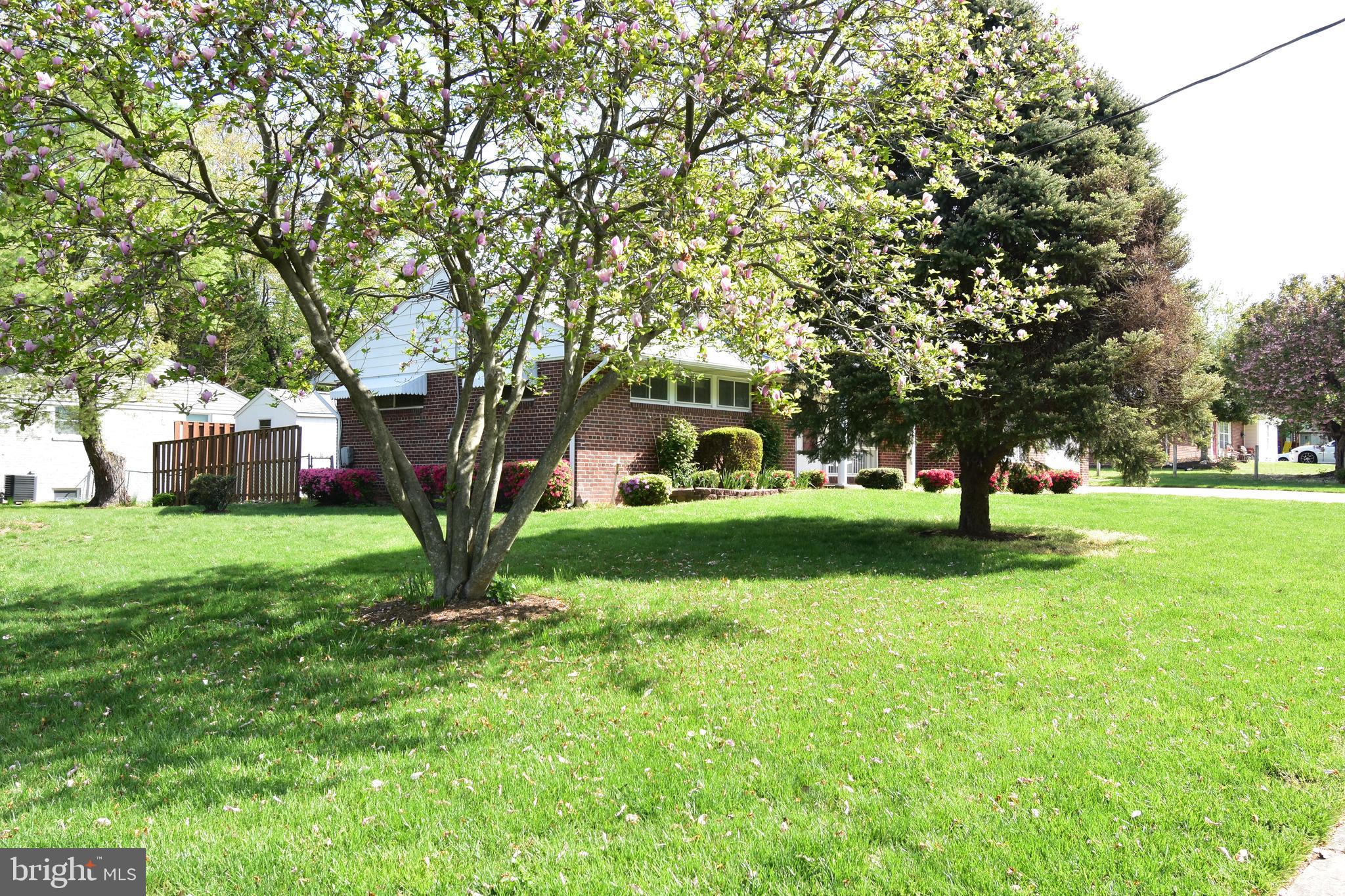 SPRINGFIELD - Residential Lease