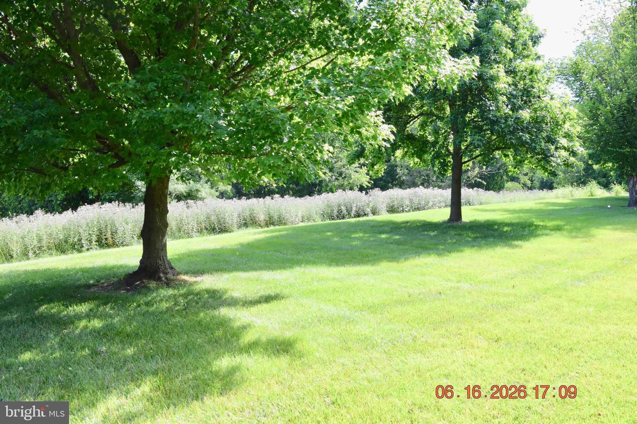 INNISCRONE VIEW - Residential