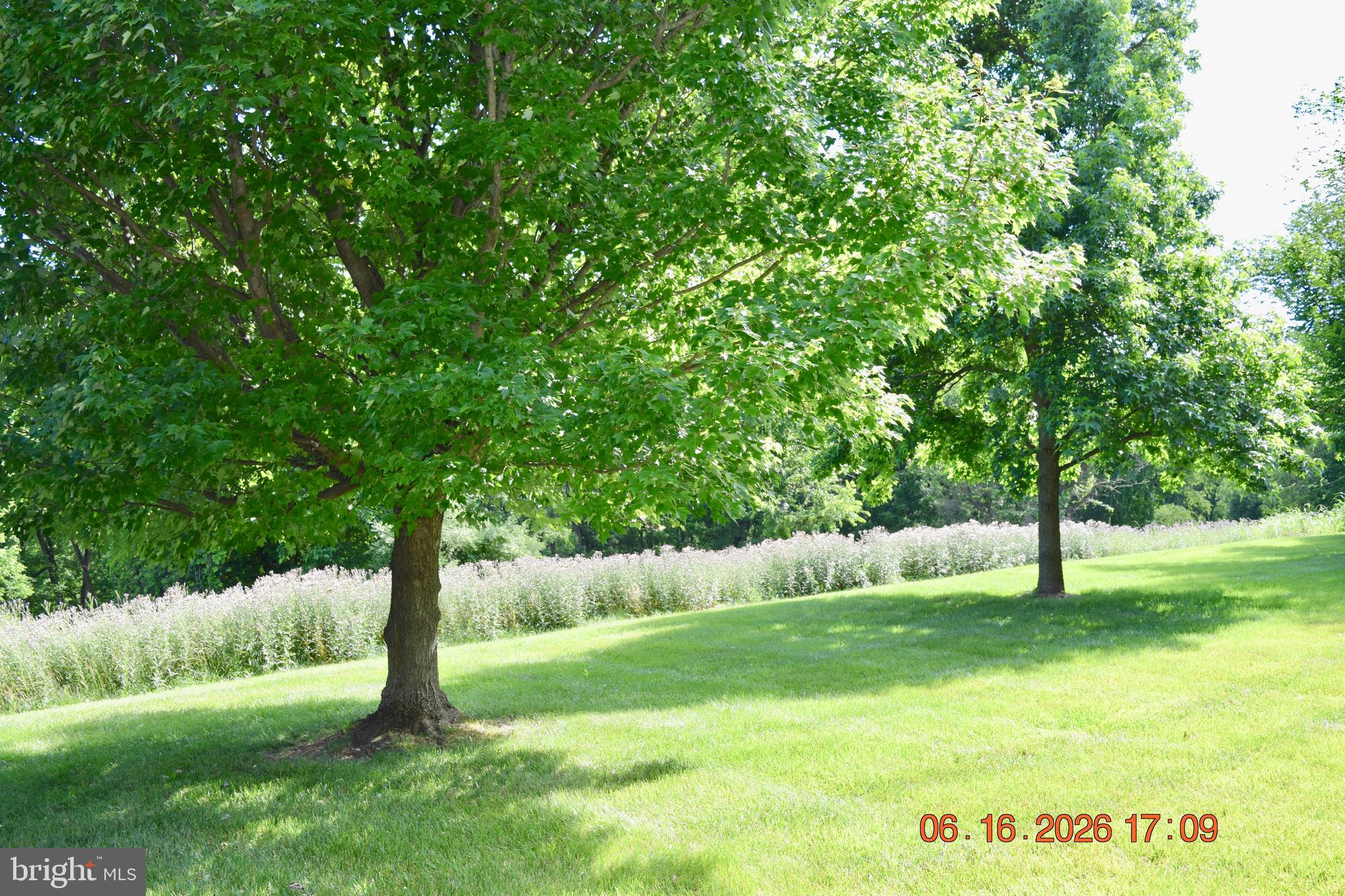INNISCRONE VIEW - Residential