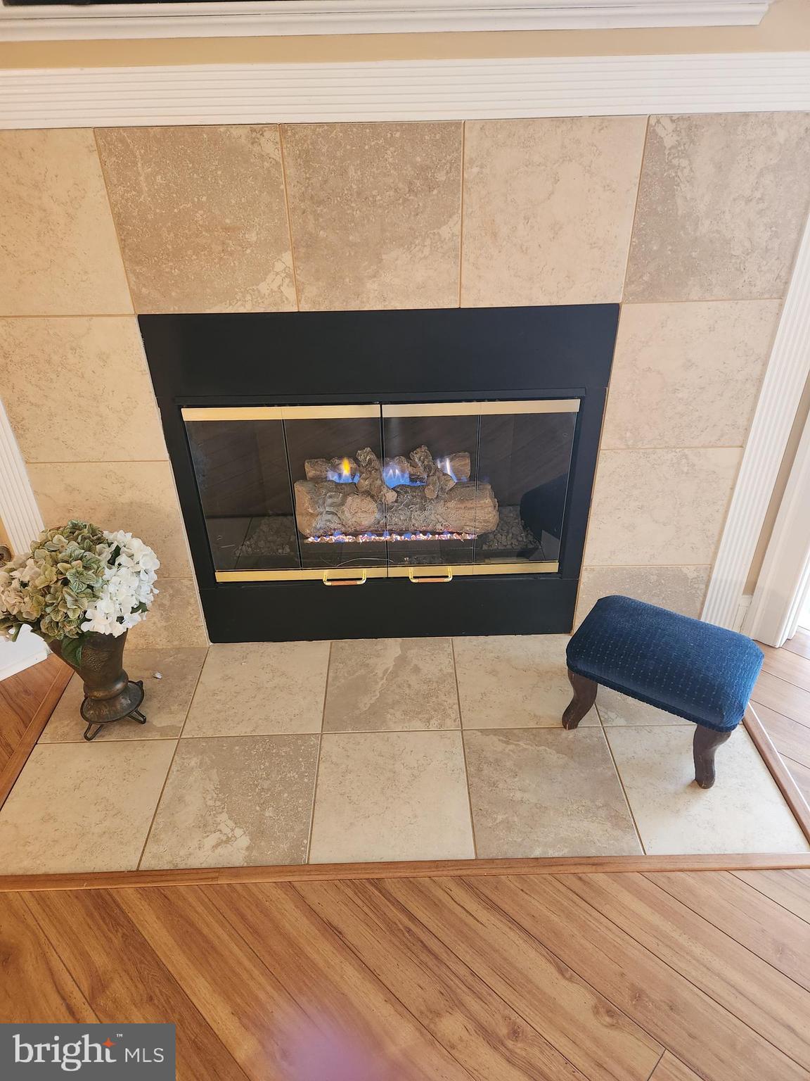 REGENCY PARK VILLAS - Residential