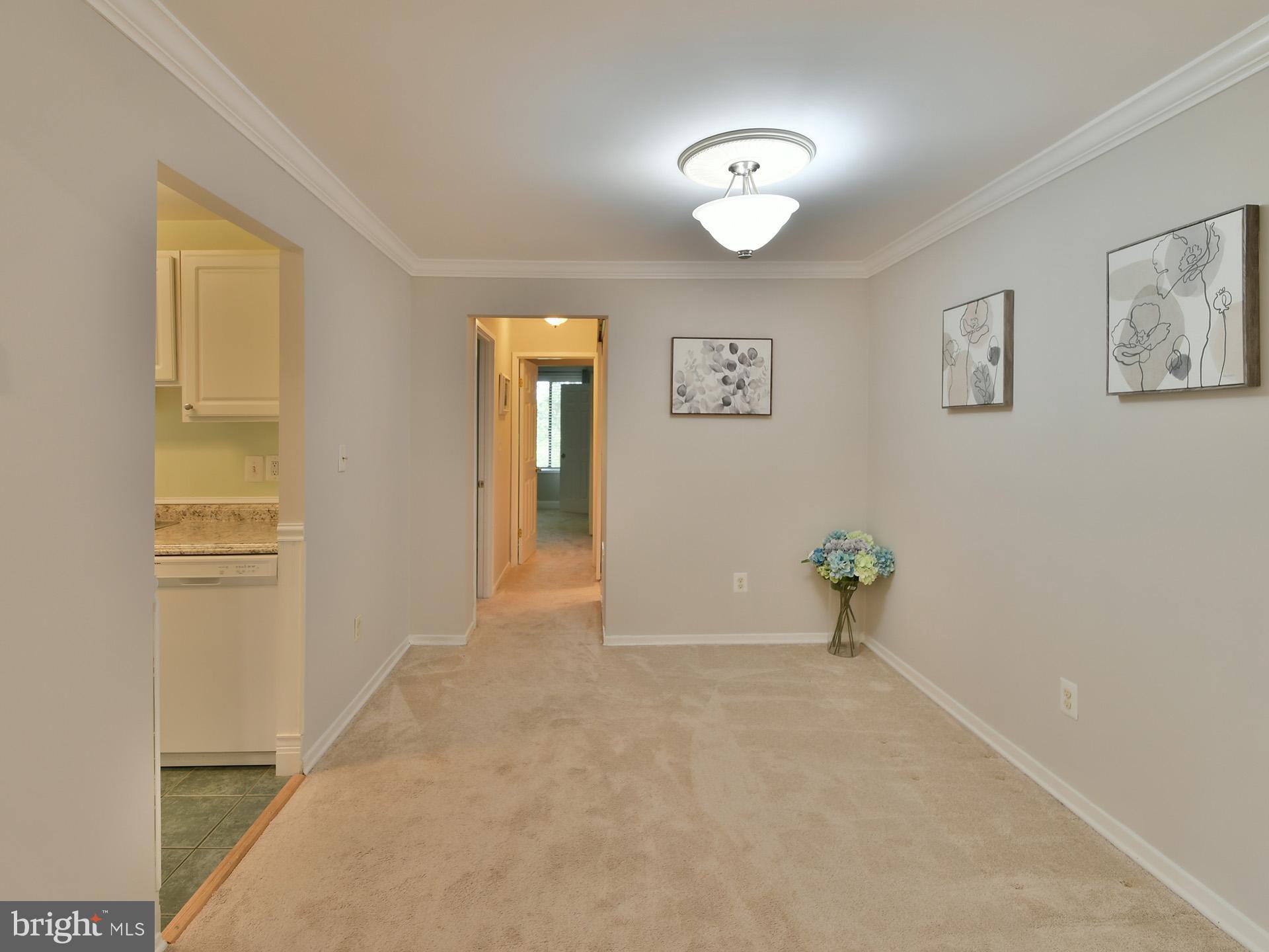 VILLAGE OF LONG REACH - Residential