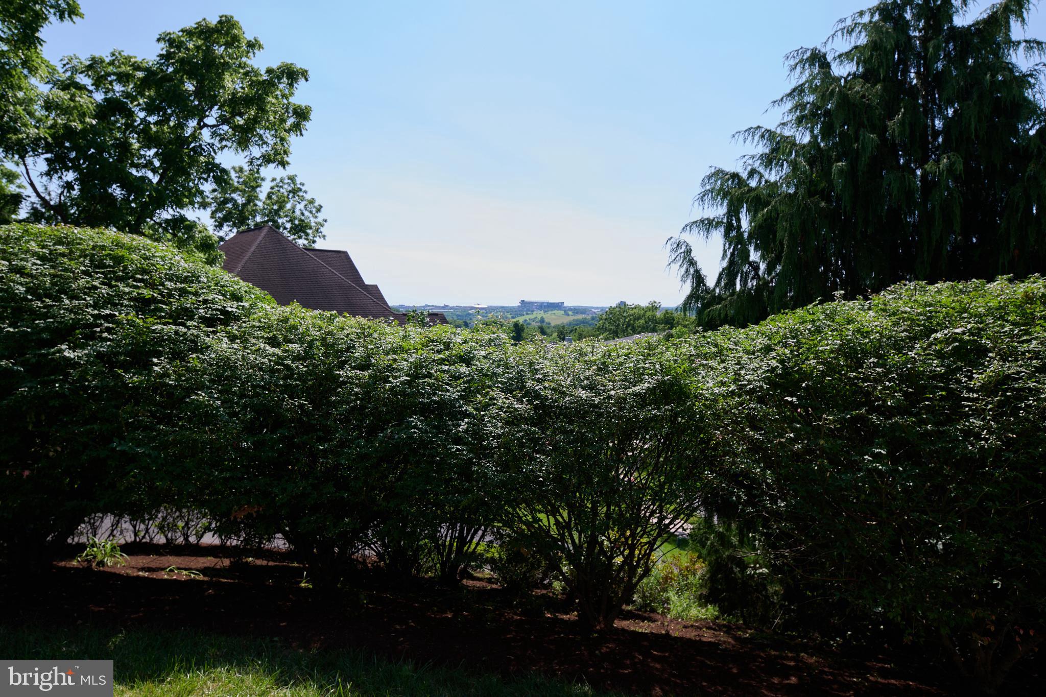 STEARNS CROSSING - Residential
