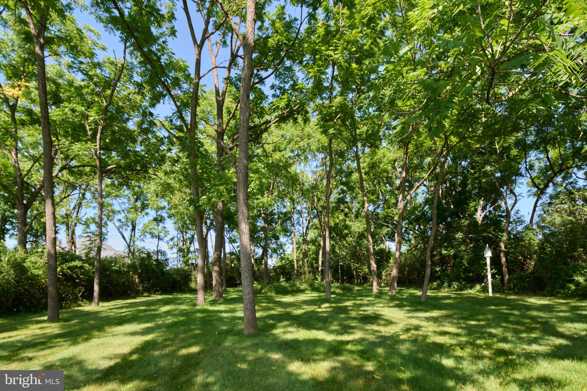 STEARNS CROSSING - Residential