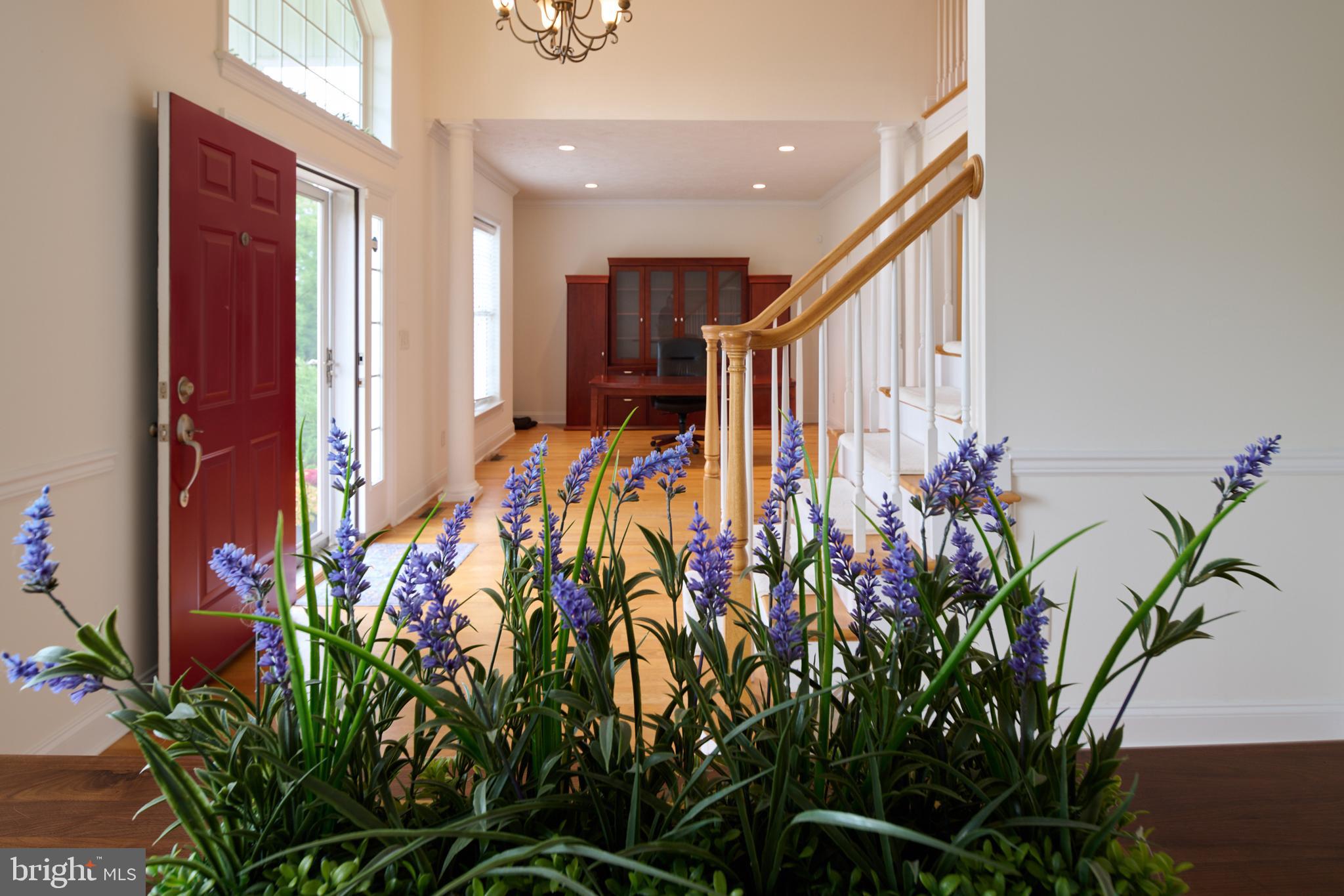 STEARNS CROSSING - Residential