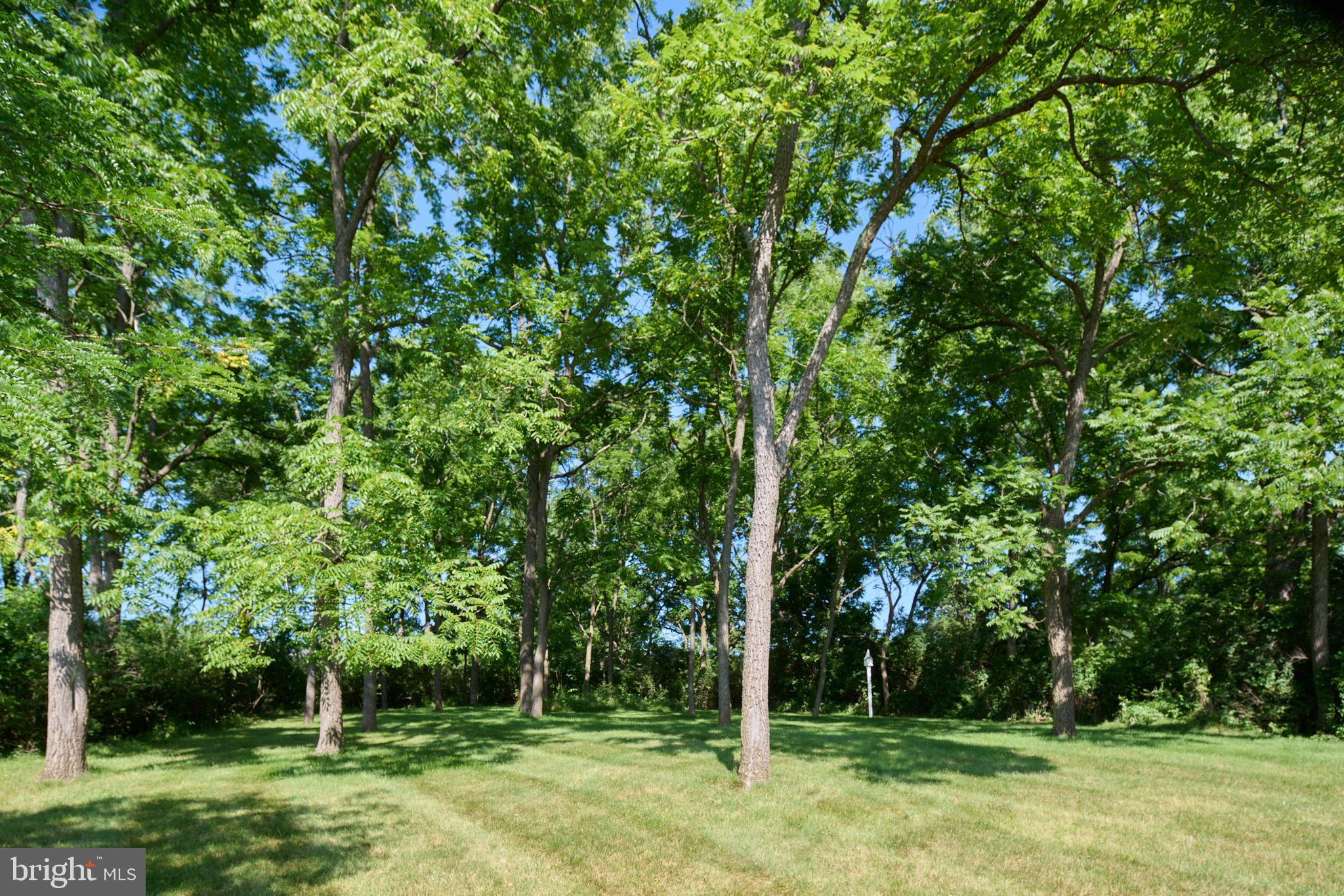 STEARNS CROSSING - Residential