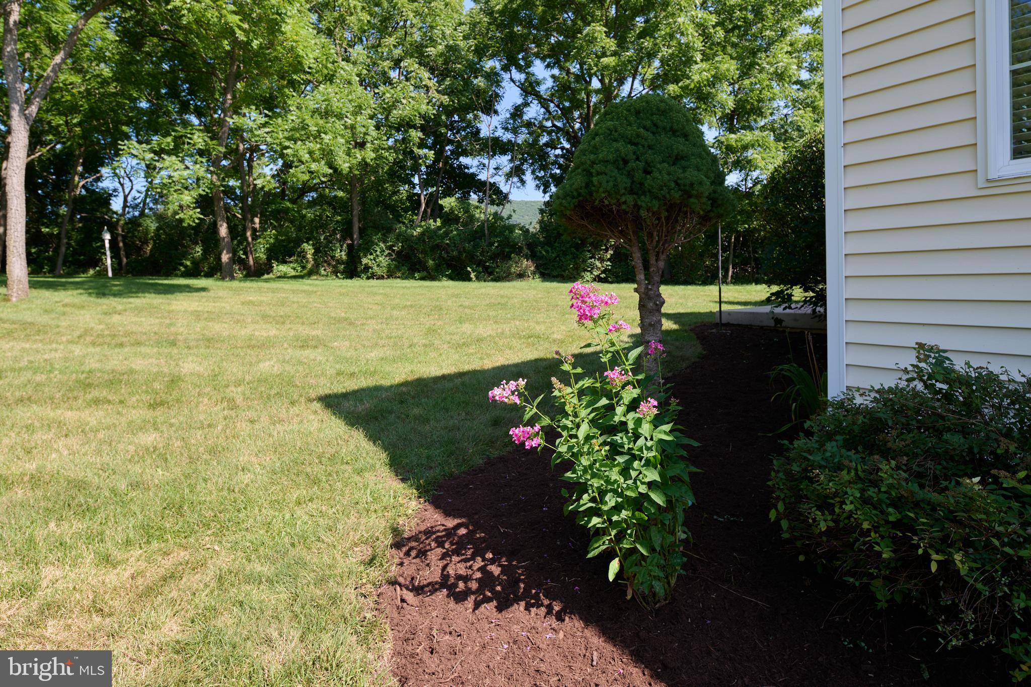 STEARNS CROSSING - Residential