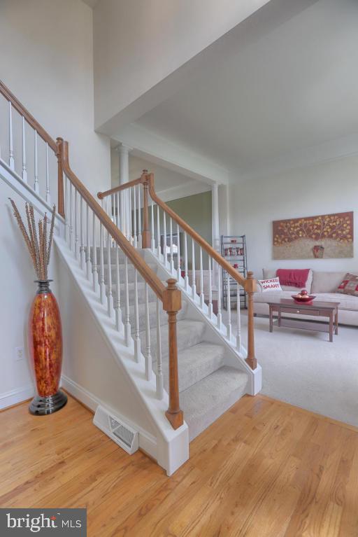 OLDE FIELD - Residential