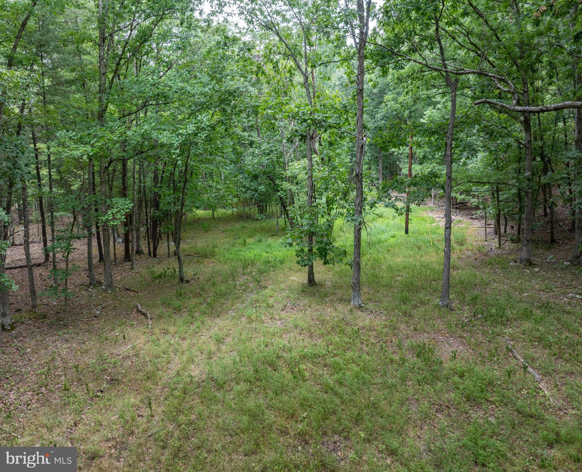 **Rustic Cabin for Sale on Buffalo Hollow Road, Romney, WV**  Discover the perfect balance of privacy and seclusion with this rustic cabin located on Buffalo Hollow Road in Romney, WV. Nestled on 6.6 UNRESTRICTED ACRES , a perfect mix of level & wooded area and higher elevations with unique rock formations, this property offers an ideal location for a retreat or full-time living, just minutes from town.  A simple camp cabin in need of TLC, a dry cabin with no power or septic.  There is a well with a hand pump already in place, and electricity is an easy pull from the county-maintained road. Whether you're looking for an affordable land investment or a cozy hideaway to transform into your dream home ideals, this property has endless potential.  Come see this unique opportunity and imagine the possibilities that await in this peaceful mountain setting. Your dream retreat in the woods is closer than you think!