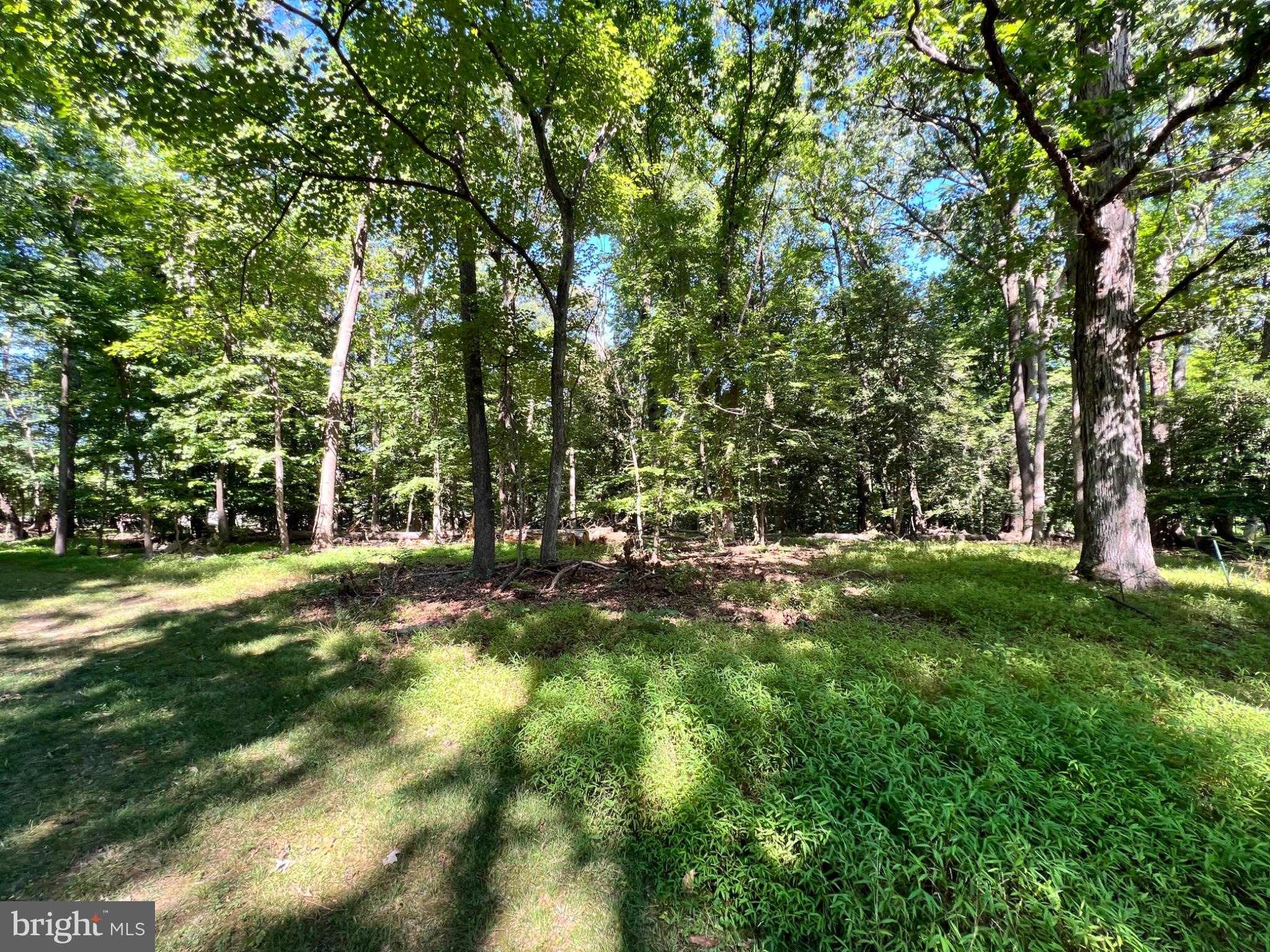 Discover the perfect canvas for your dream home on this stunning 0.99-acre parcel of land, nestled in a vibrant community that offers both tranquility and convenience. Imagine waking up to the gentle rustle of leaves and the promise of endless possibilities right outside your door. This prime location is just moments away from local parks, charming shops, and delightful dining options, making it an ideal spot for those who appreciate a balanced lifestyle. Embrace the outdoors with nearby trails and recreational areas, perfect for weekend adventures or peaceful strolls. The neighborhood boasts a welcoming atmosphere, where neighbors become friends and community events bring everyone together. With ample space to design your ideal residence, this property invites you to create a sanctuary tailored to your vision. Seize this rare opportunity to invest in a location that combines natural beauty with modern amenities. Your dream home awaits! Property can be accessed from the end of Warburton Street. Buyer must perform due diligence.