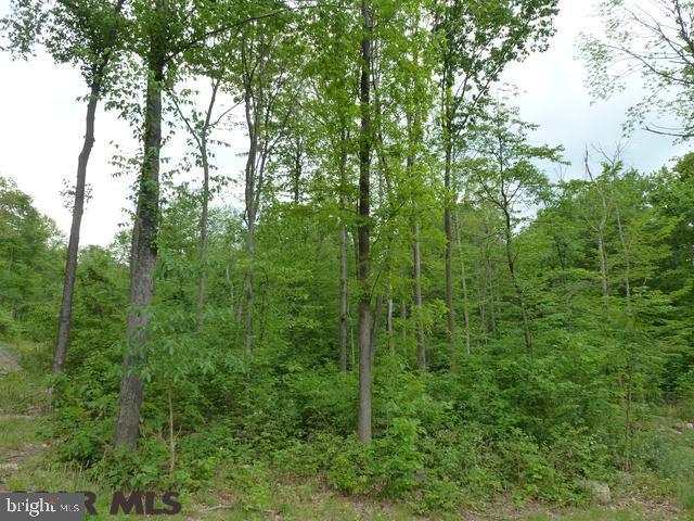 NONE AVAILABLE - Land