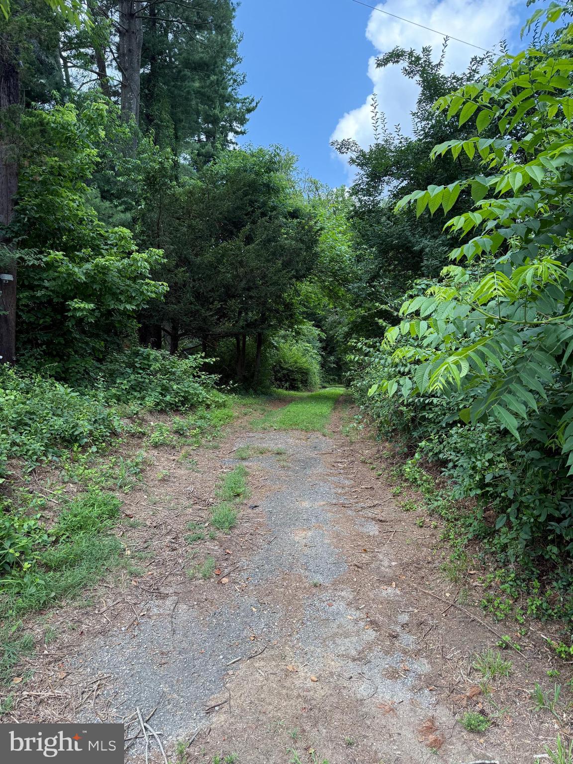 If you are looking to build a home in Howard Co. and want to live in serenity amongst the tall trees, have your privacy but also close to an existing mature neighborhood, this is your opportunity! A beautiful 3.748 residential wooded lot is just waiting for your dream home to be built. Located off the road but has easy access. Please call co-listing agent for more information or for a private tour.