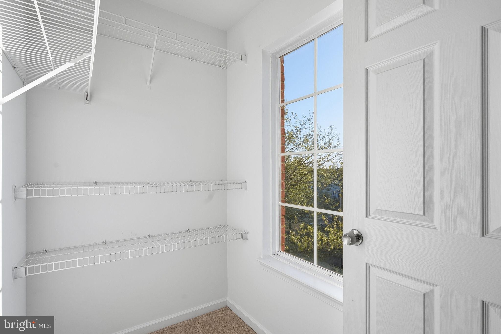 LINCOLN PARK - Residential