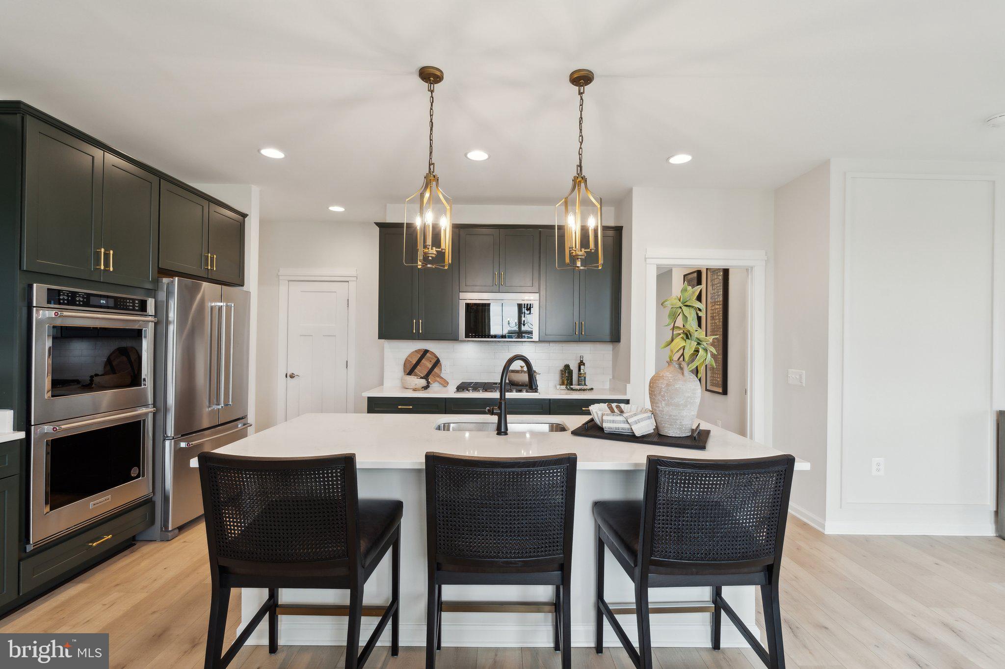 HIATT POINTE AT SNOWDEN BRIDGE - Residential