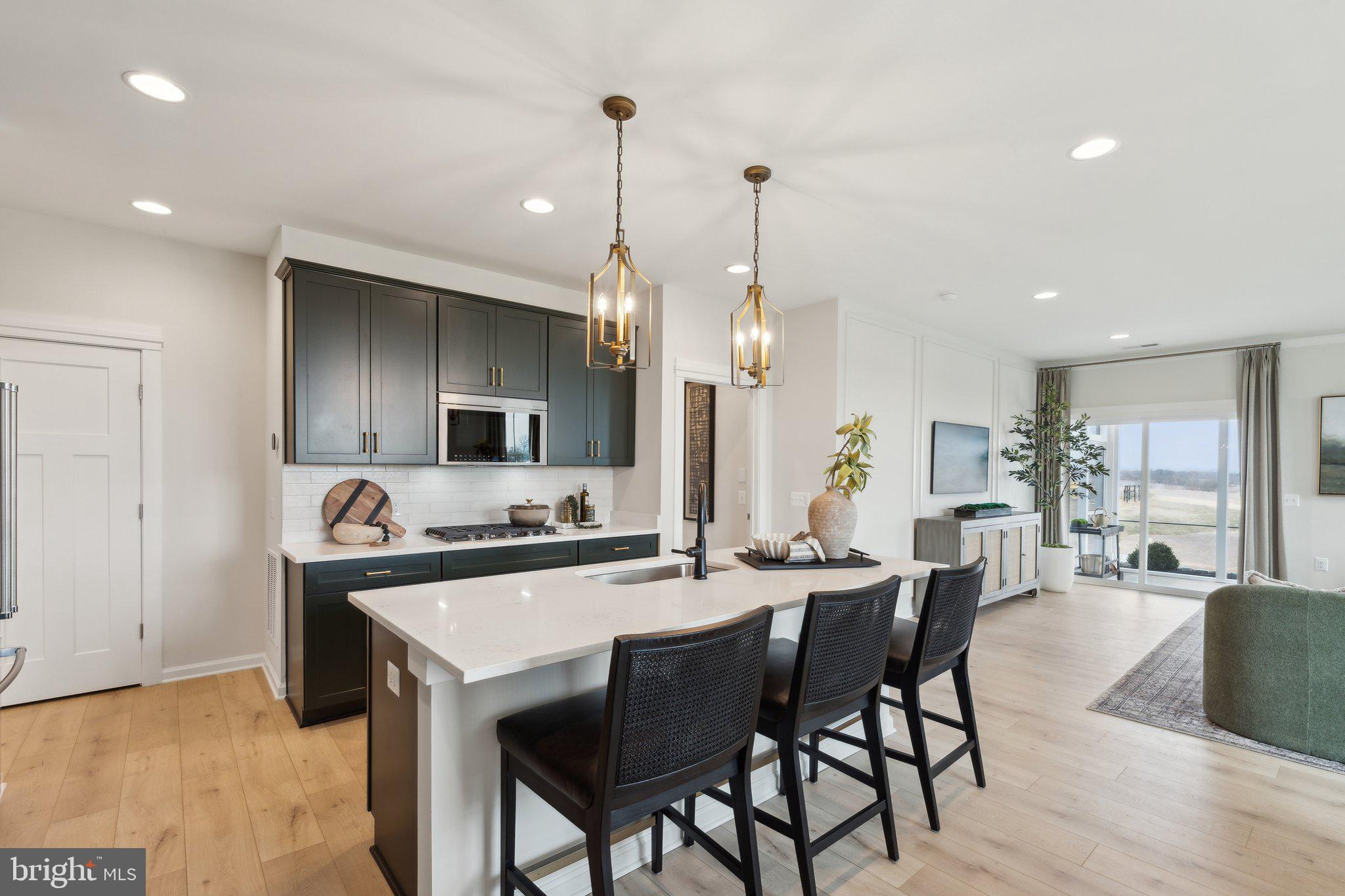 HIATT POINTE AT SNOWDEN BRIDGE - Residential