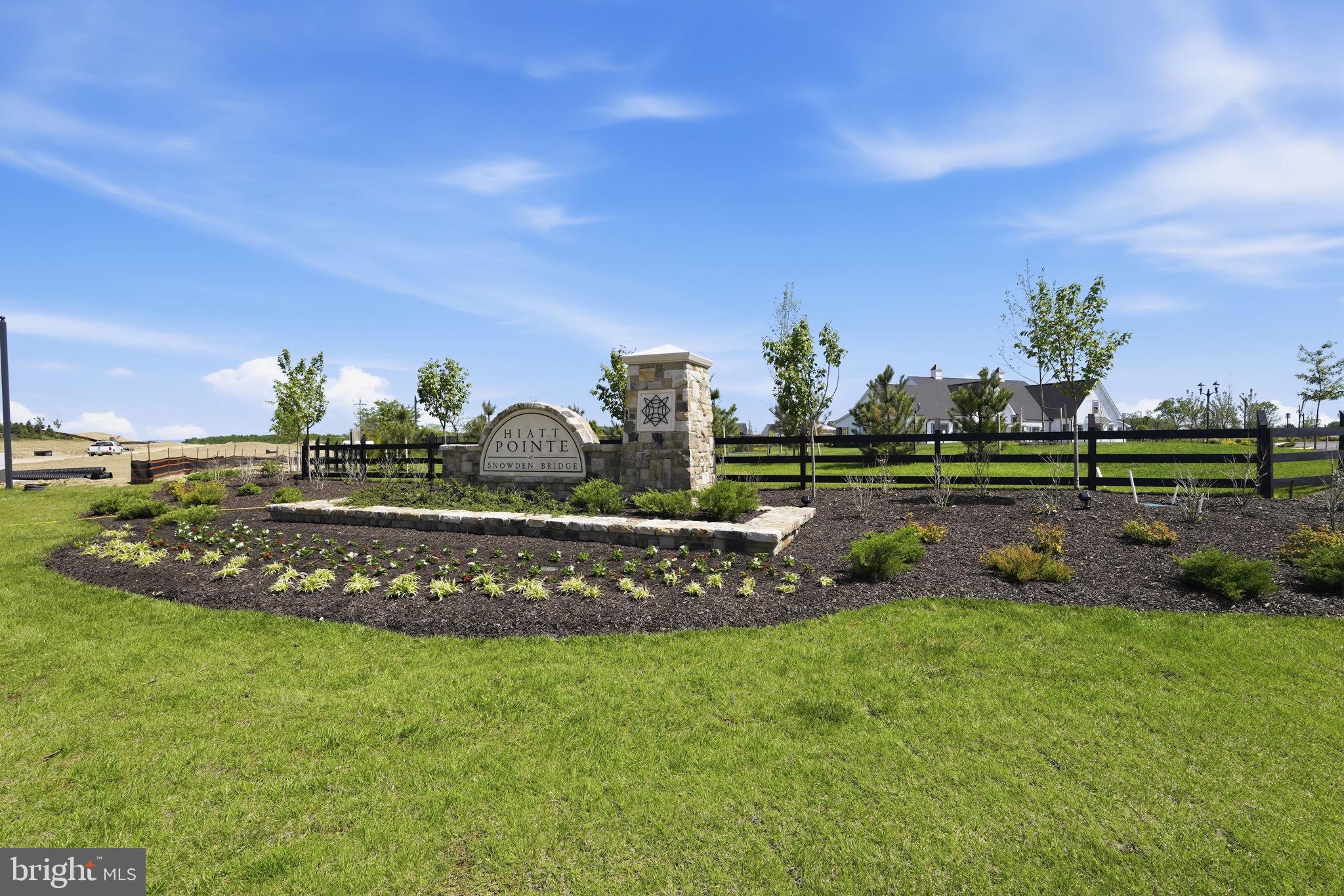 HIATT POINTE AT SNOWDEN BRIDGE - Residential