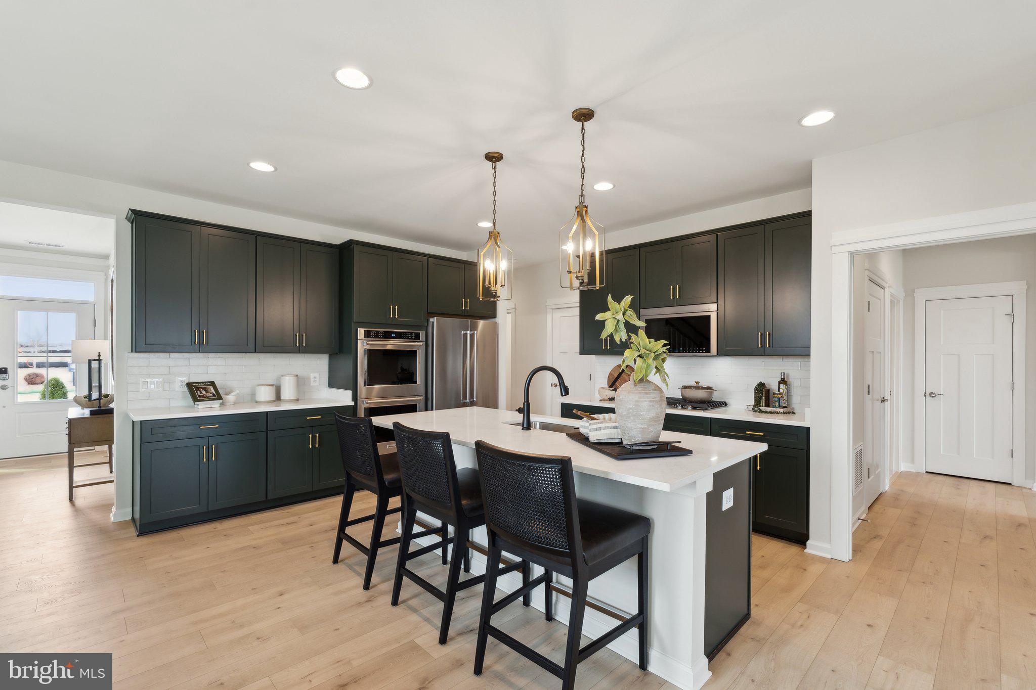 HIATT POINTE AT SNOWDEN BRIDGE - Residential