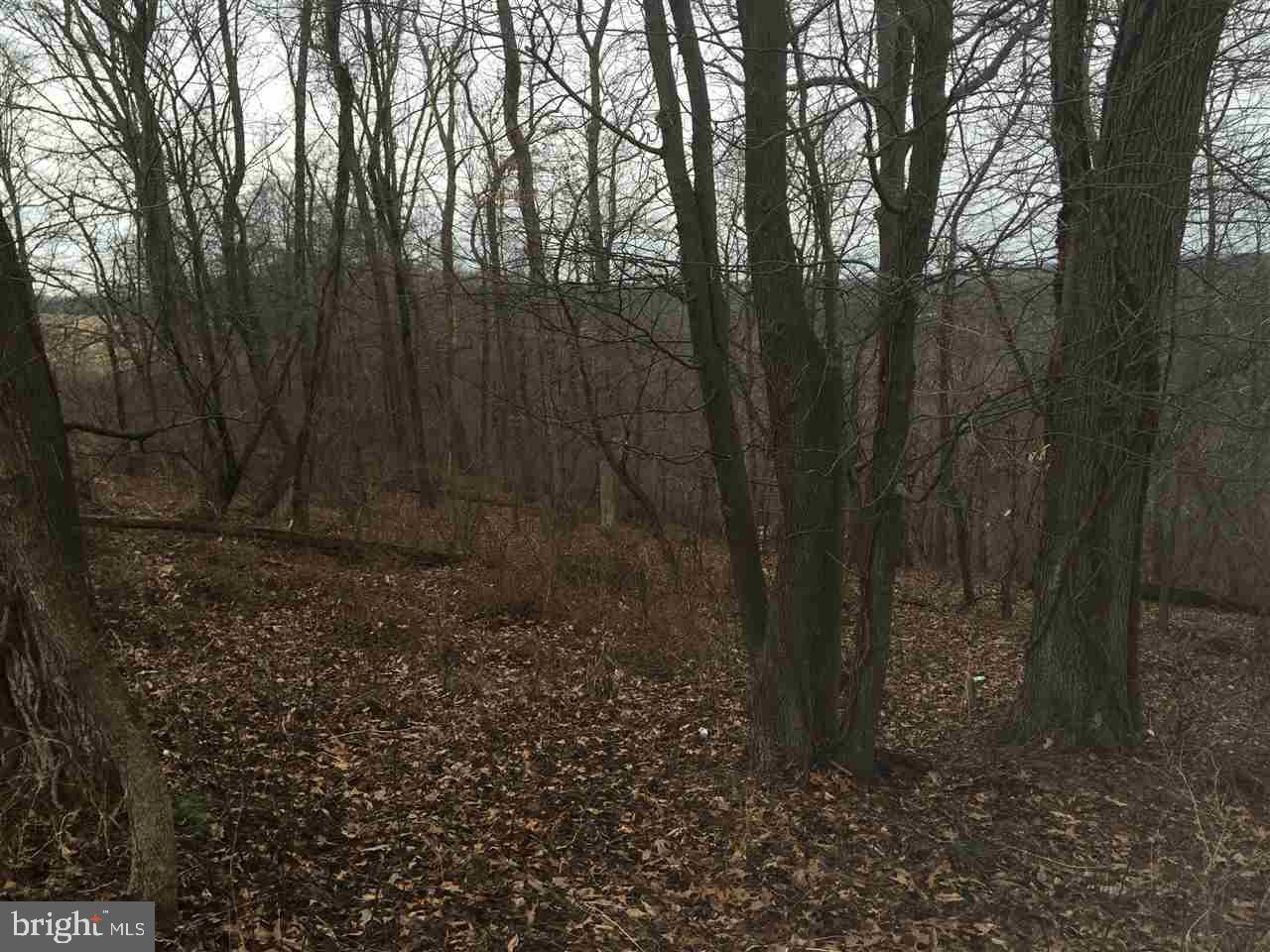 50+ acres of wooded land with great privacy.  Property has been perc approved, but needs a well. Access to property is off Peach Road.  Call agent for details.