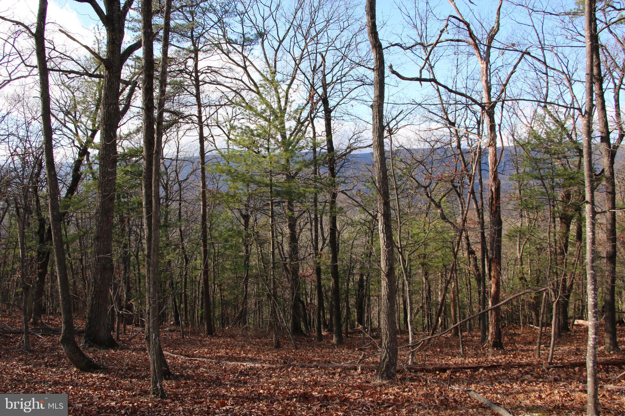 This lot is located at the south corner of Basye on the top of Supinlick Ridge. This fully wooded lot is on the market for the first time since 1974. Access is secured by road frontage on paved and state maintained Supinlick Ridge Road. Prime location for your next country home or vacation rental. Utilities are close by making for easy and affordable connections. Stunning views of the surrounding countryside can be seen year round. Enjoy hiking, camping, and recreation of all types on this land. This land is zoned C-1 and there are no restrictions, no covenants, and no HOA. All the fun and adventure of Bryce Resort are just a short drive away. 

***Adjoining .98 +/- acre lot is also available for purchase - see aerials for details***