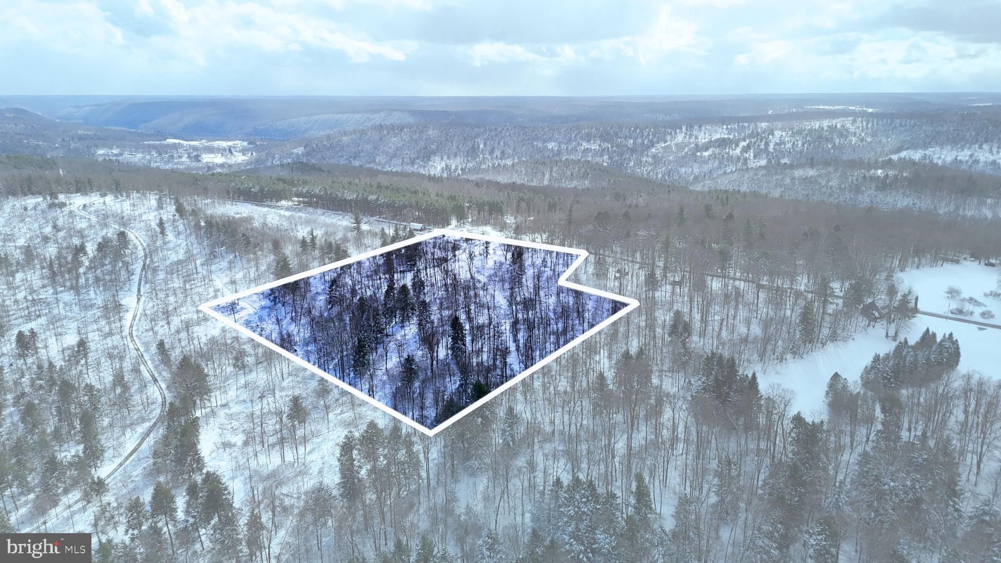 A Rare 7± Acre Wooded Retreat Near Tidioute

Discover the perfect blend of seclusion, natural beauty, and outdoor opportunity on this 7± acre all‑wooded parcel just outside Tidioute. Whether you're looking for a private hunting escape, a recreational getaway, or the ideal setting for your future home or cabin, this property delivers far more than its size suggests.

The land features a healthy mix of hardwoods, pine, and evergreens, creating year‑round color, cover, and habitat. Wildlife thrives here—deer, turkey, bear, and abundant small game are frequent visitors, making this a standout hunting tract in a region known for strong populations.

A gentle slope leads from the road down toward a scenic stream bottom, and the property backs to over 500 acres of private land, enhancing privacy and expanding the sense of wilderness. The surrounding landscape is dominated by big timber, and you're only minutes from State Game Lands and thousands of acres of public ground—a dream setup for hunters, hikers, and anyone who loves the outdoors.

With excellent road frontage, this parcel also offers a prime opportunity to build a home or hunting cabin. Set up your basecamp and enjoy immediate access to endless recreation, adventure, and exploration.

Properties like this—small in acreage but big in potential—are hard to find. Even better, oil, gas, and mineral rights convey, adding long‑term value to your investment.

Don’t miss your chance to walk this incredible piece of land. Contact the listing agent today to schedule your private tour. "MOTIVATED SELLER!"