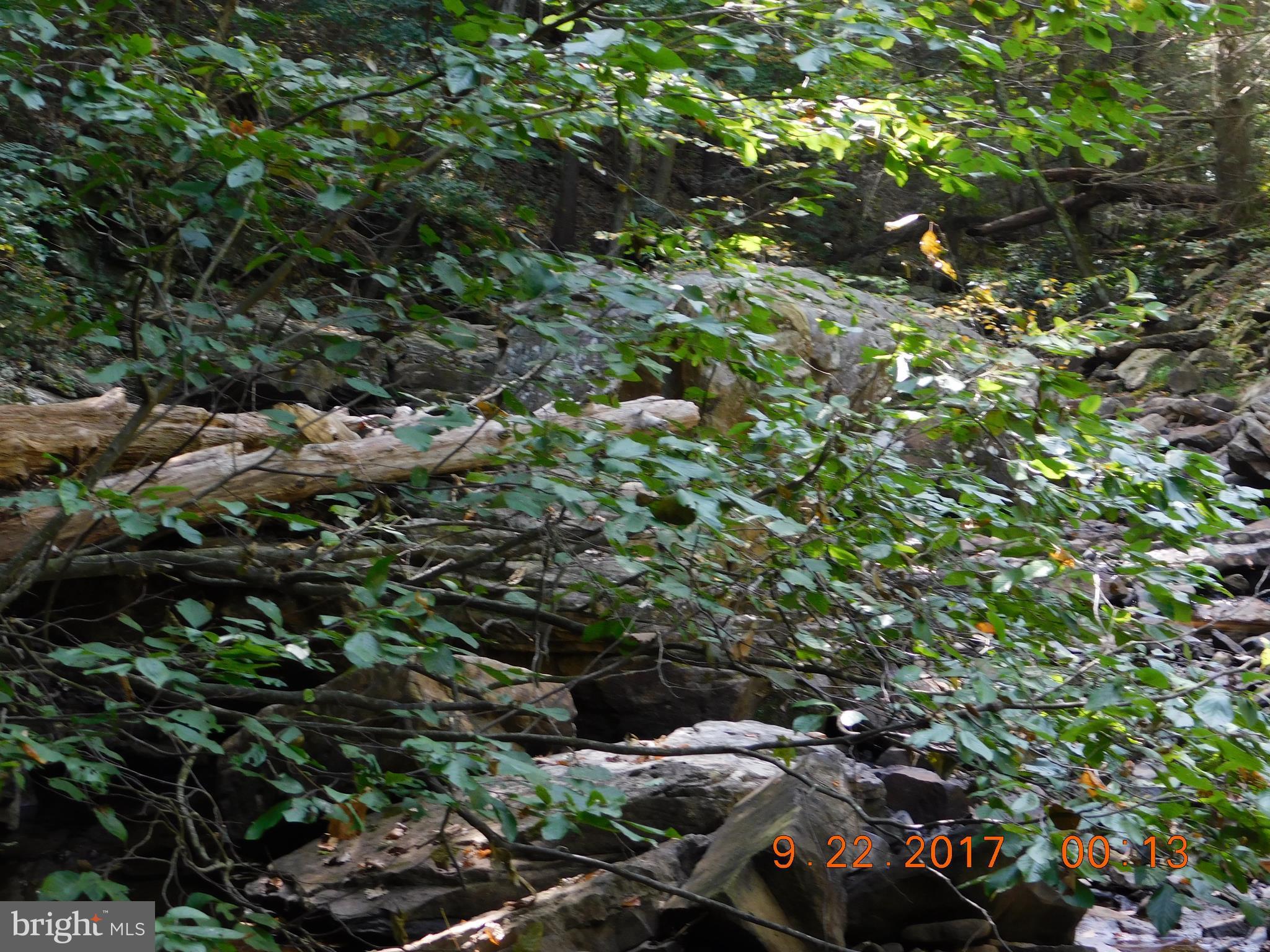 SPRUCE PINE HOLLOW - Land