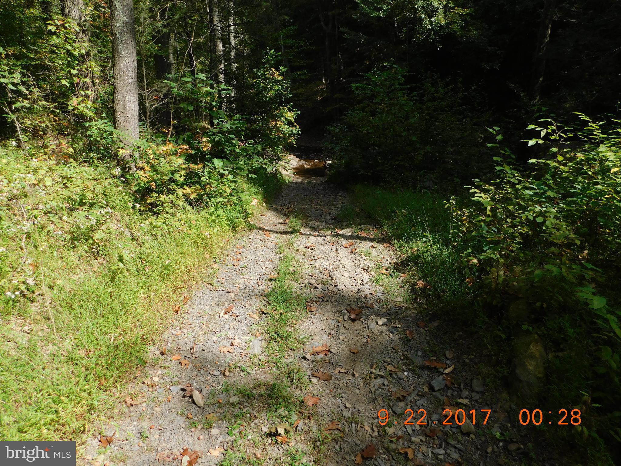SPRUCE PINE HOLLOW - Land