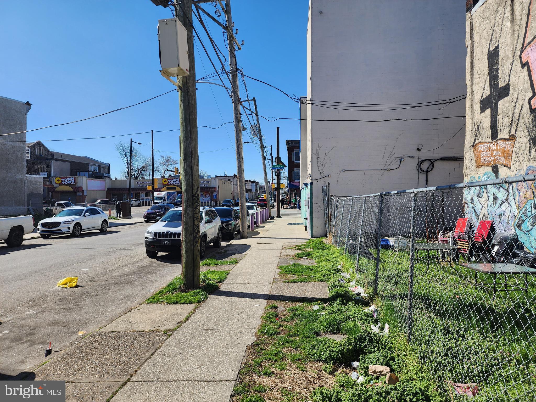 STRAWBERRY MANSION - Land