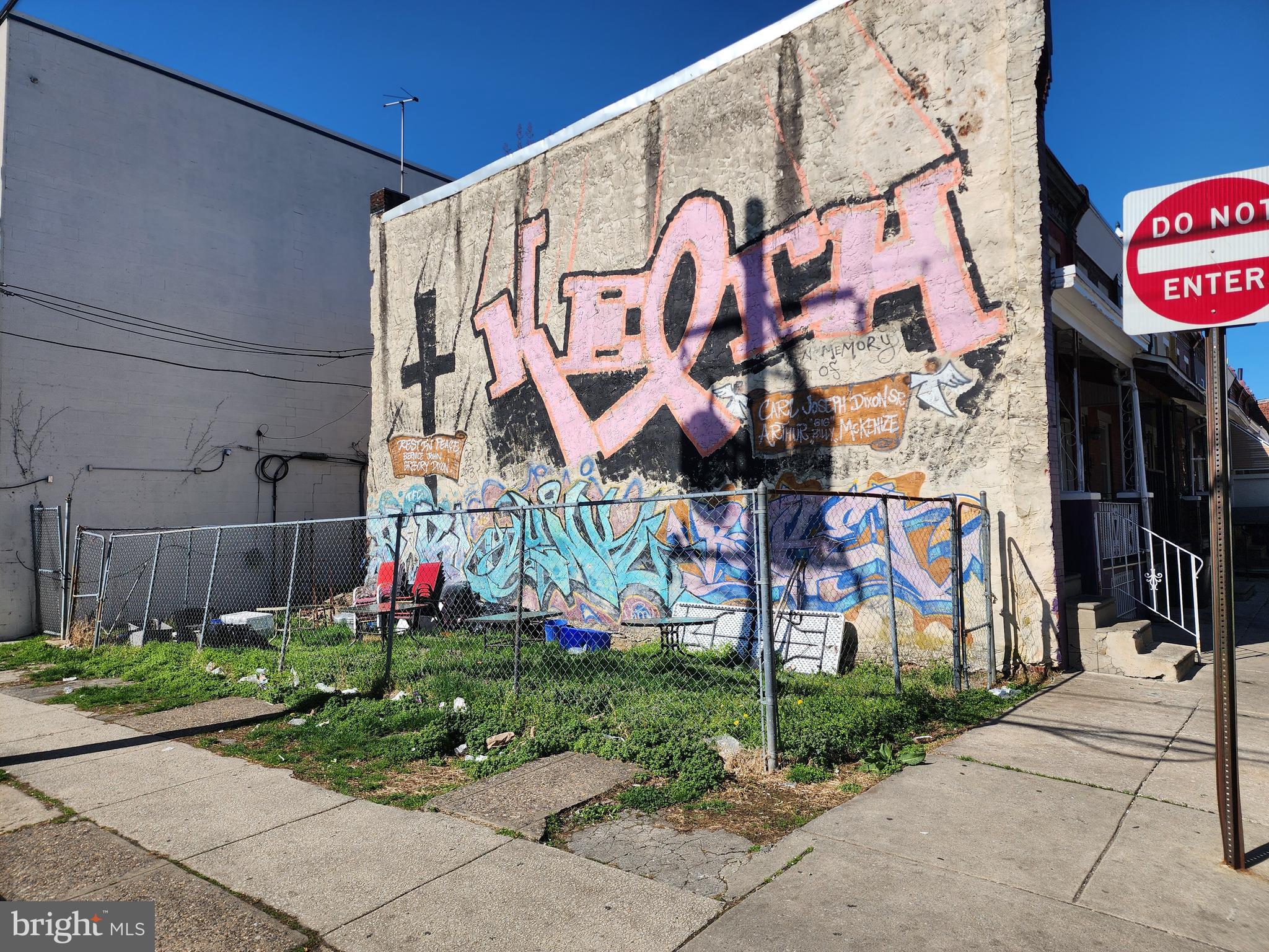 STRAWBERRY MANSION - Land