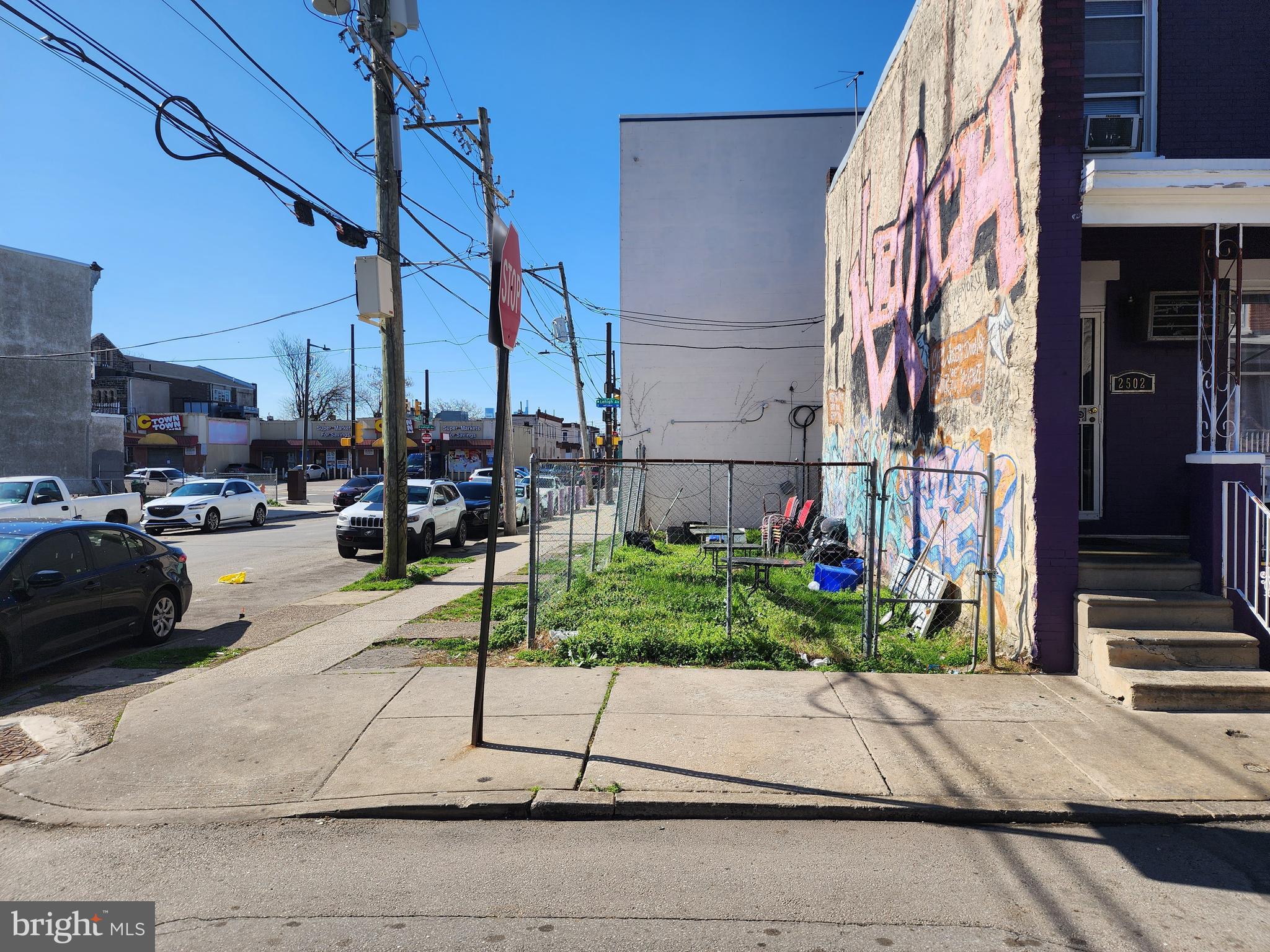 STRAWBERRY MANSION - Land
