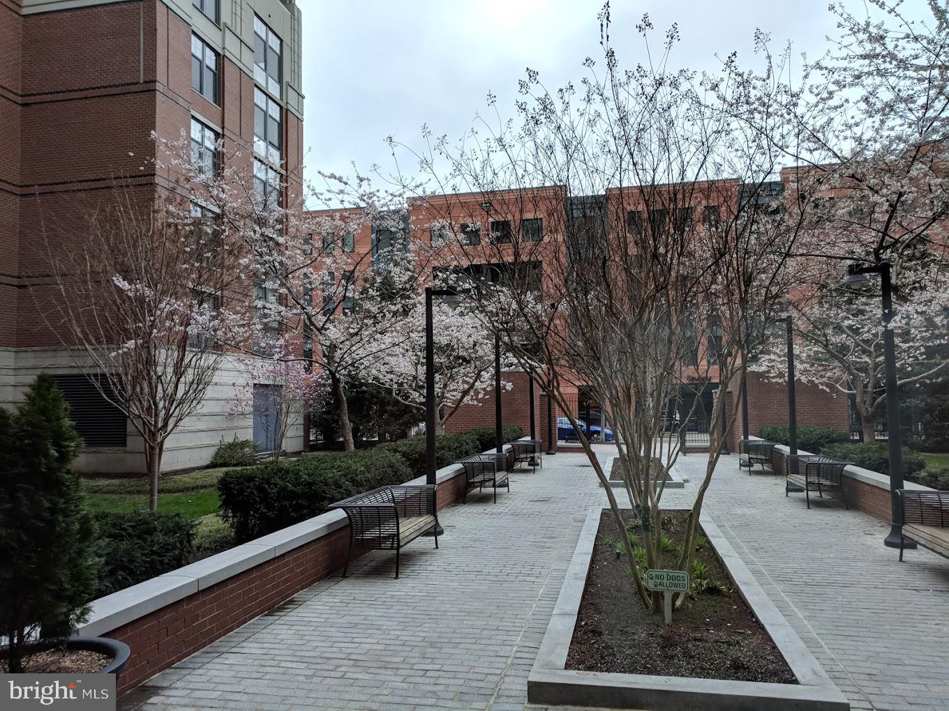 CLARENDON - Residential Lease