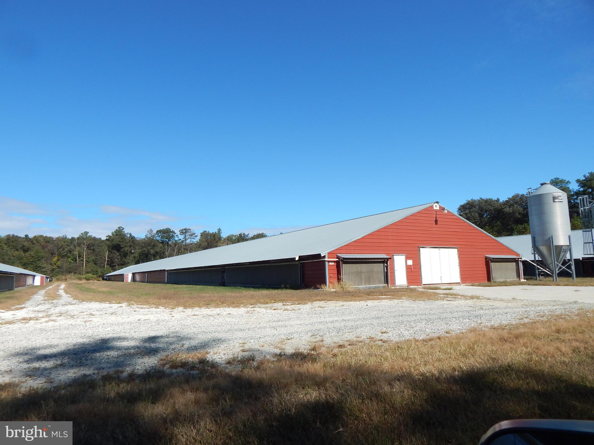 NONE AVAILABLE - Farm