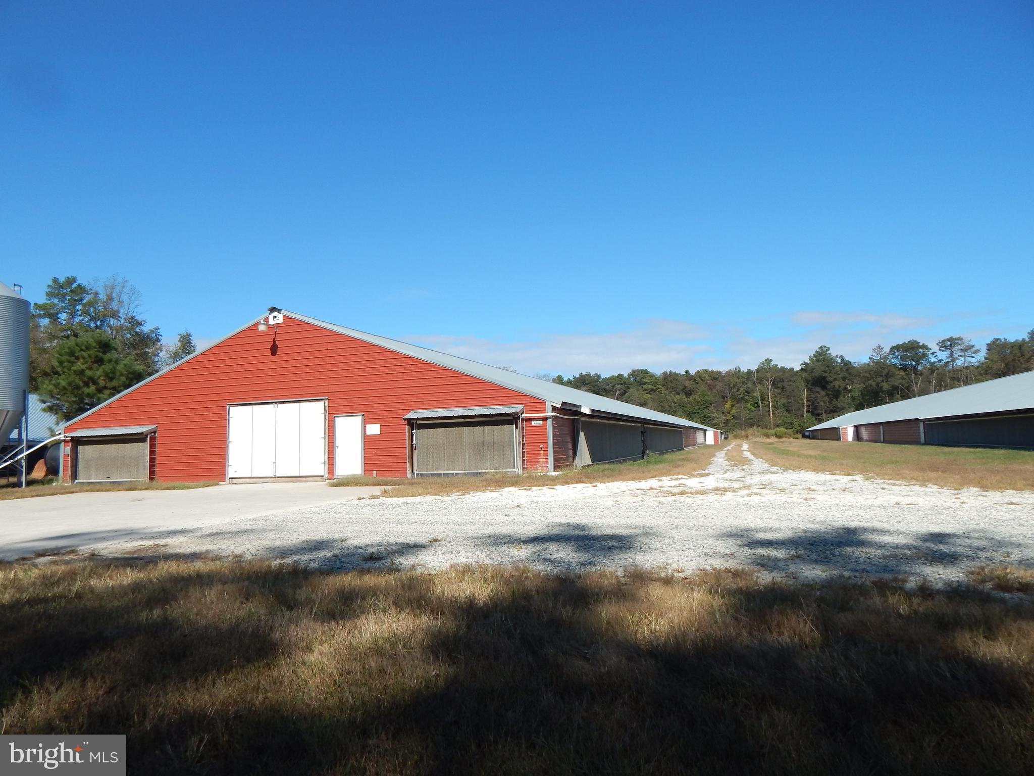 NONE AVAILABLE - Farm