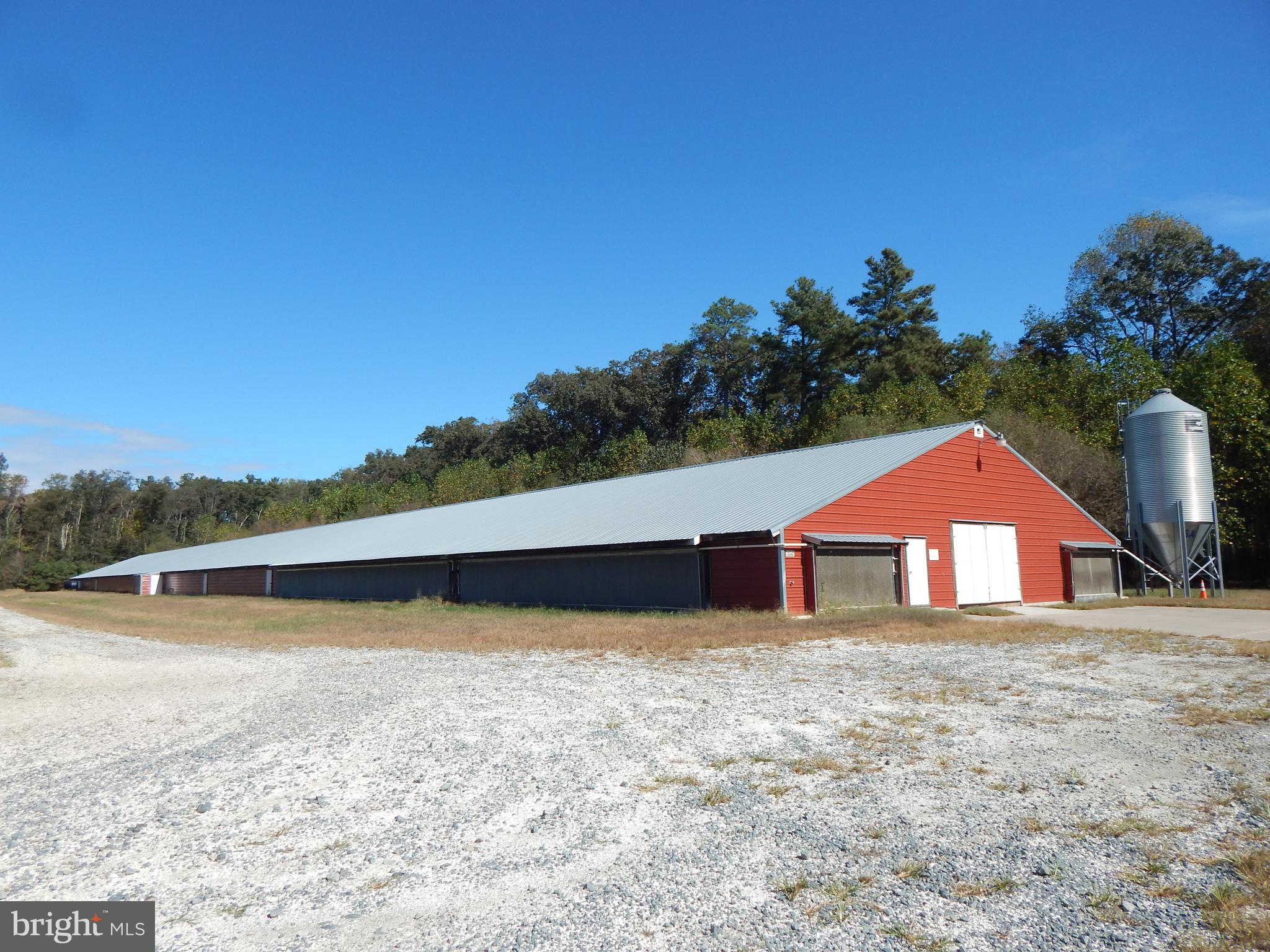 NONE AVAILABLE - Farm