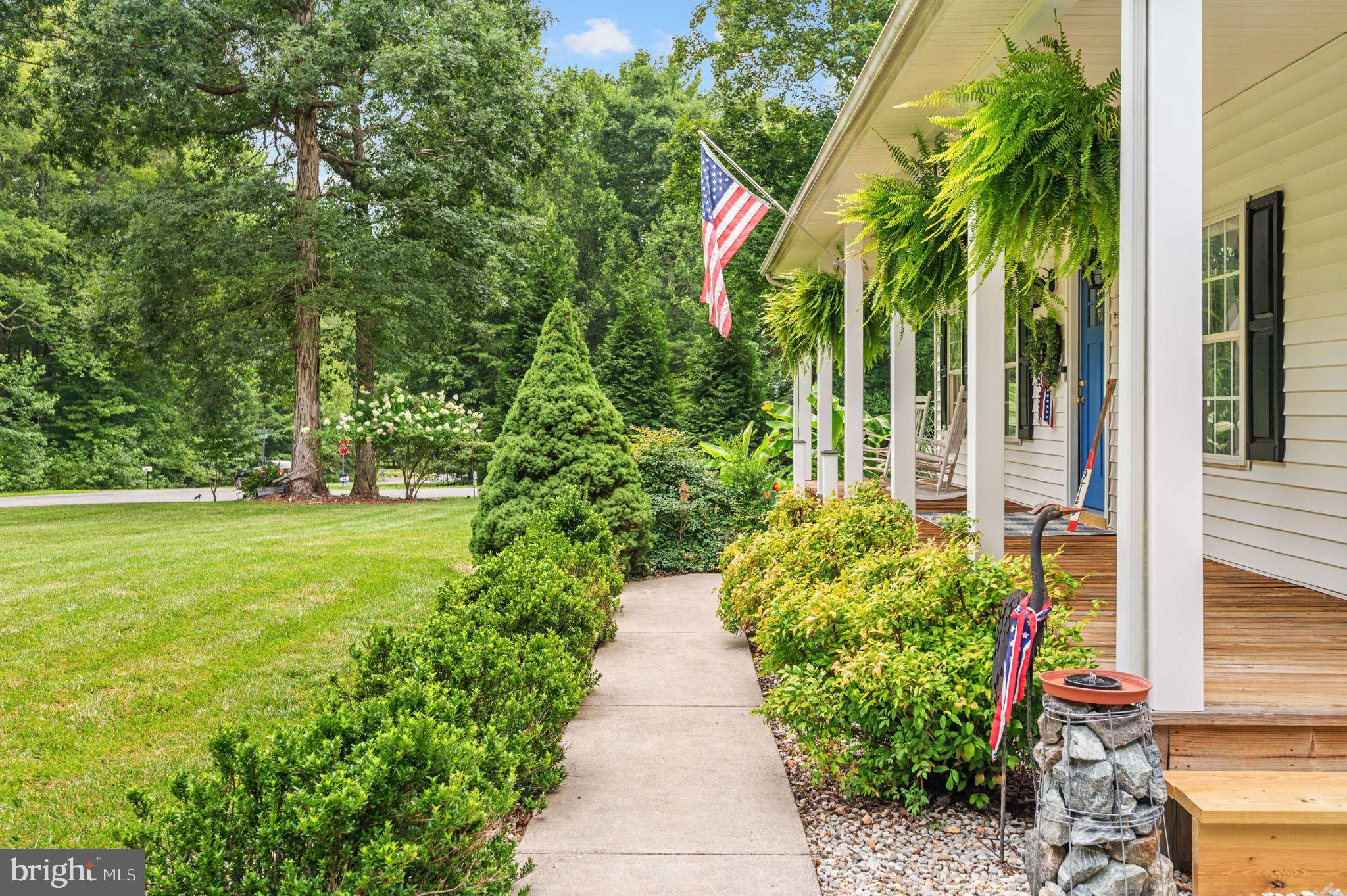 CUCKOO'S NEST - Residential