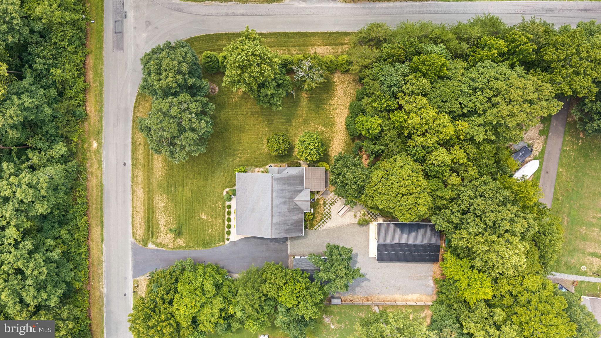 CUCKOO'S NEST - Residential