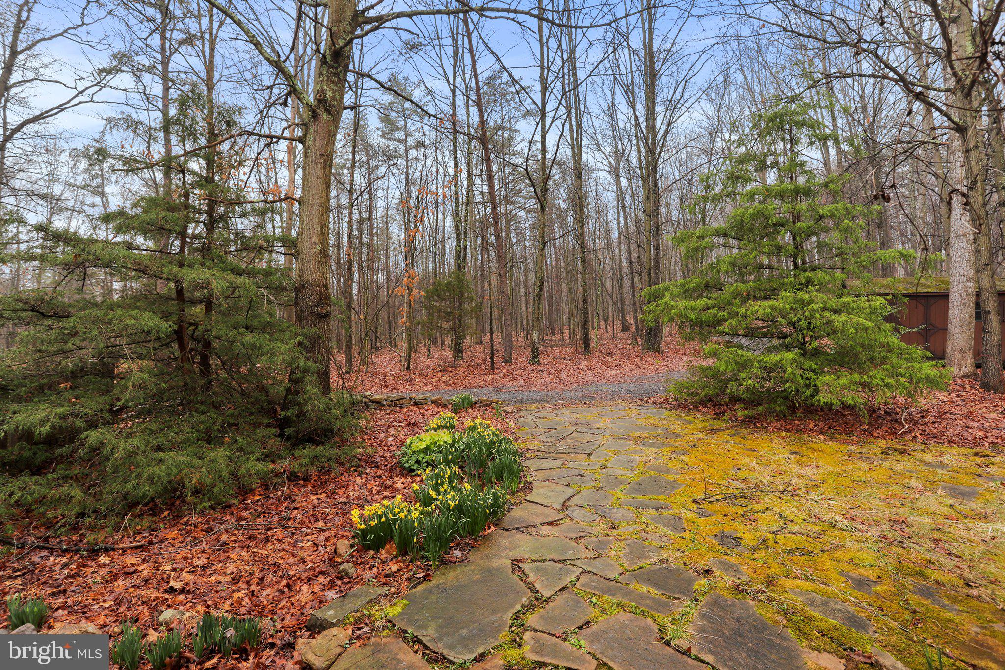 BACK CREEK - Residential