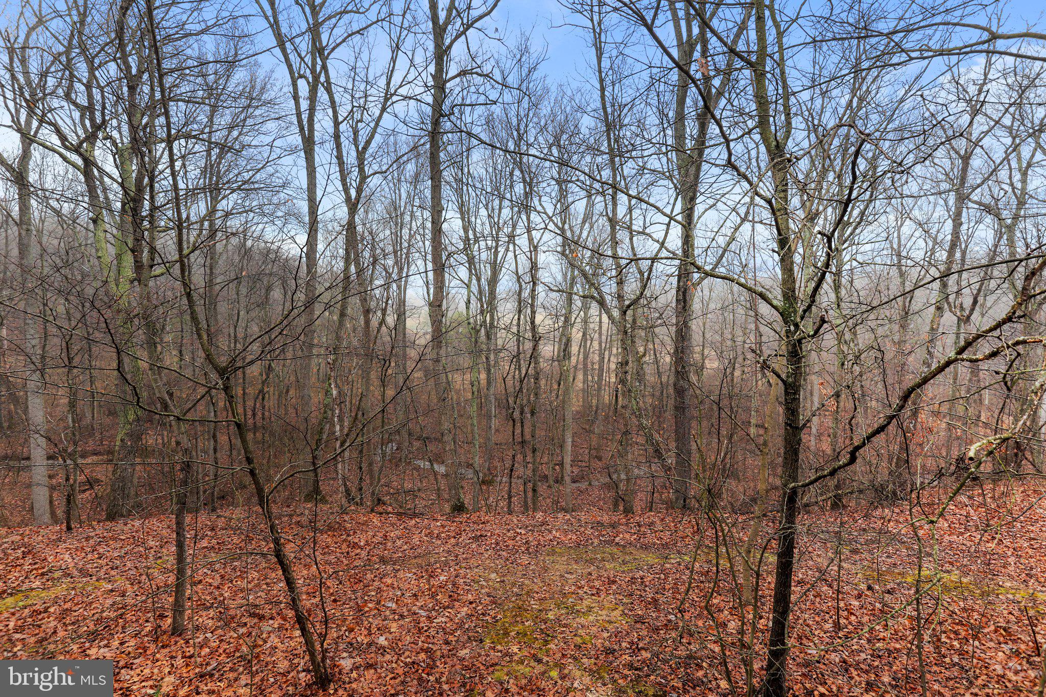 BACK CREEK - Residential