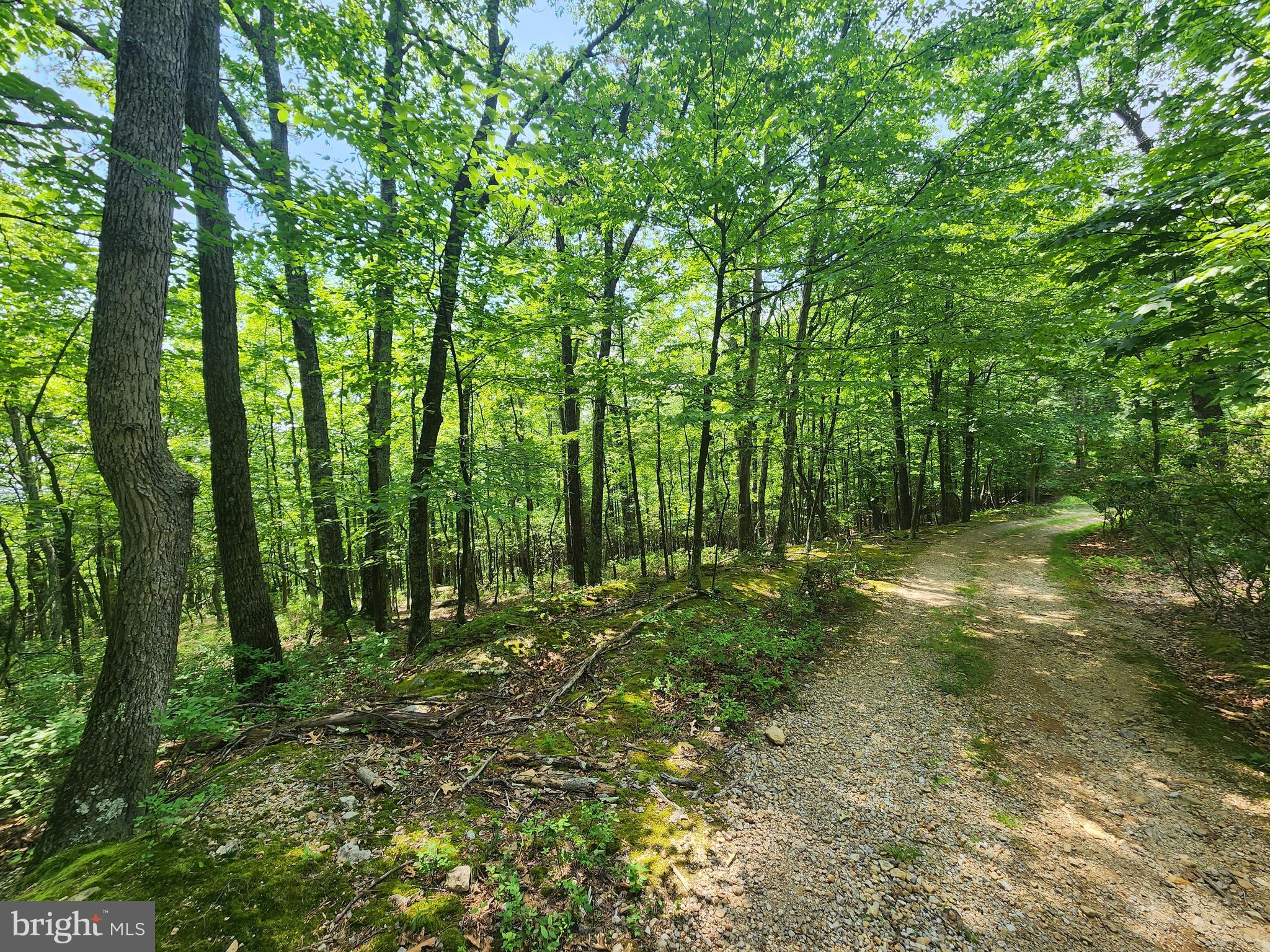 NEW CREEK MOUNTAIN ESTATES - Land