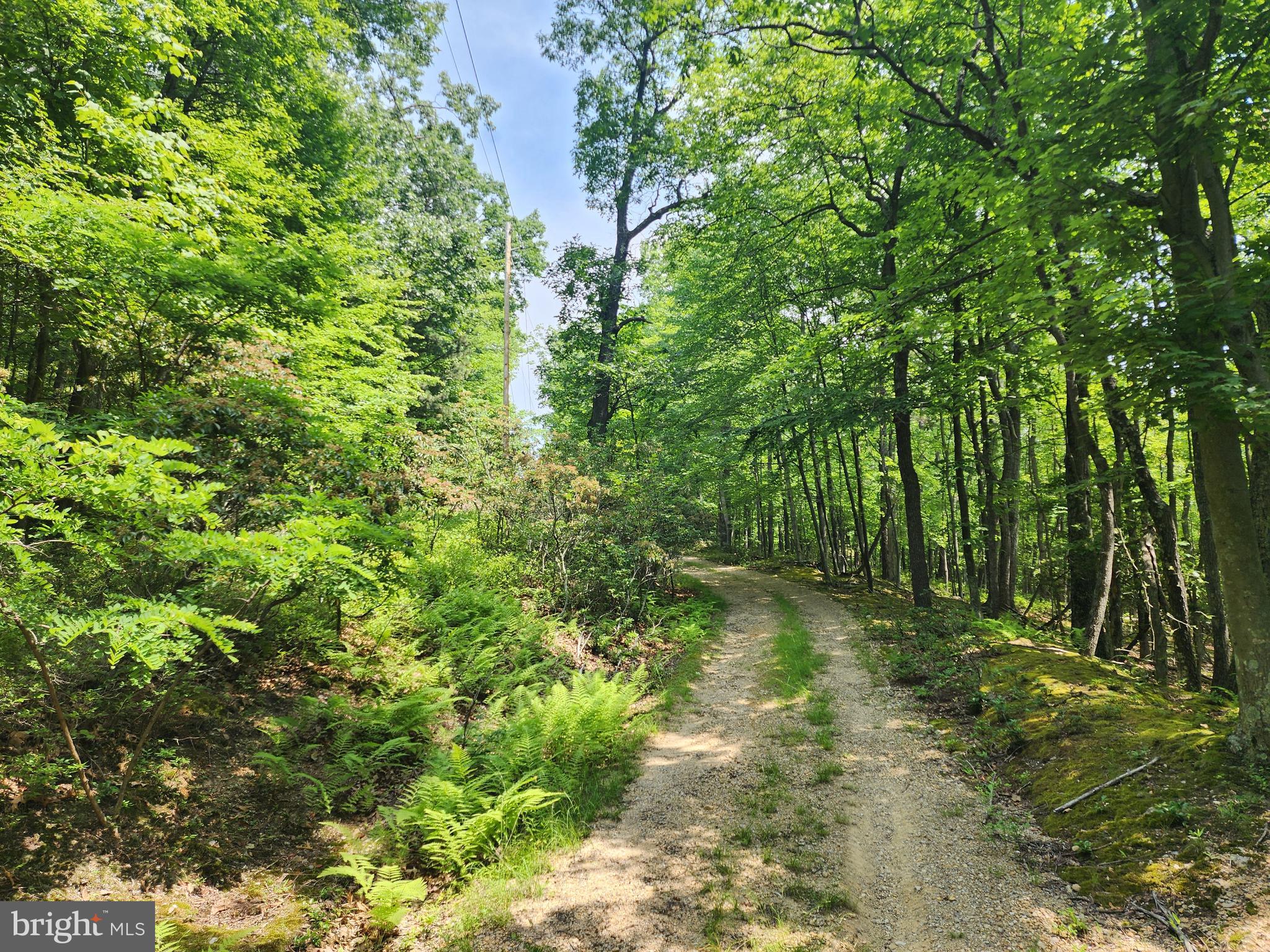 NEW CREEK MOUNTAIN ESTATES - Land
