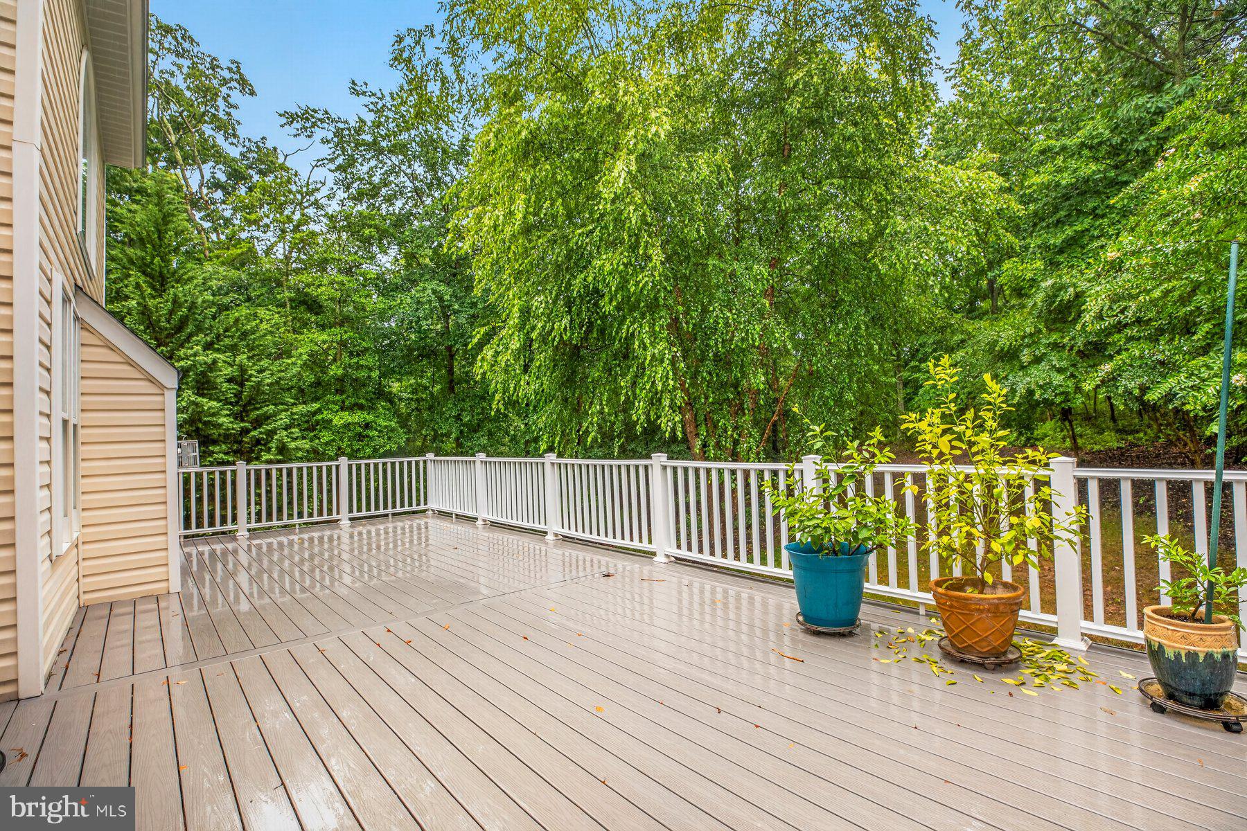 SAYBROOKE WOODS - Residential