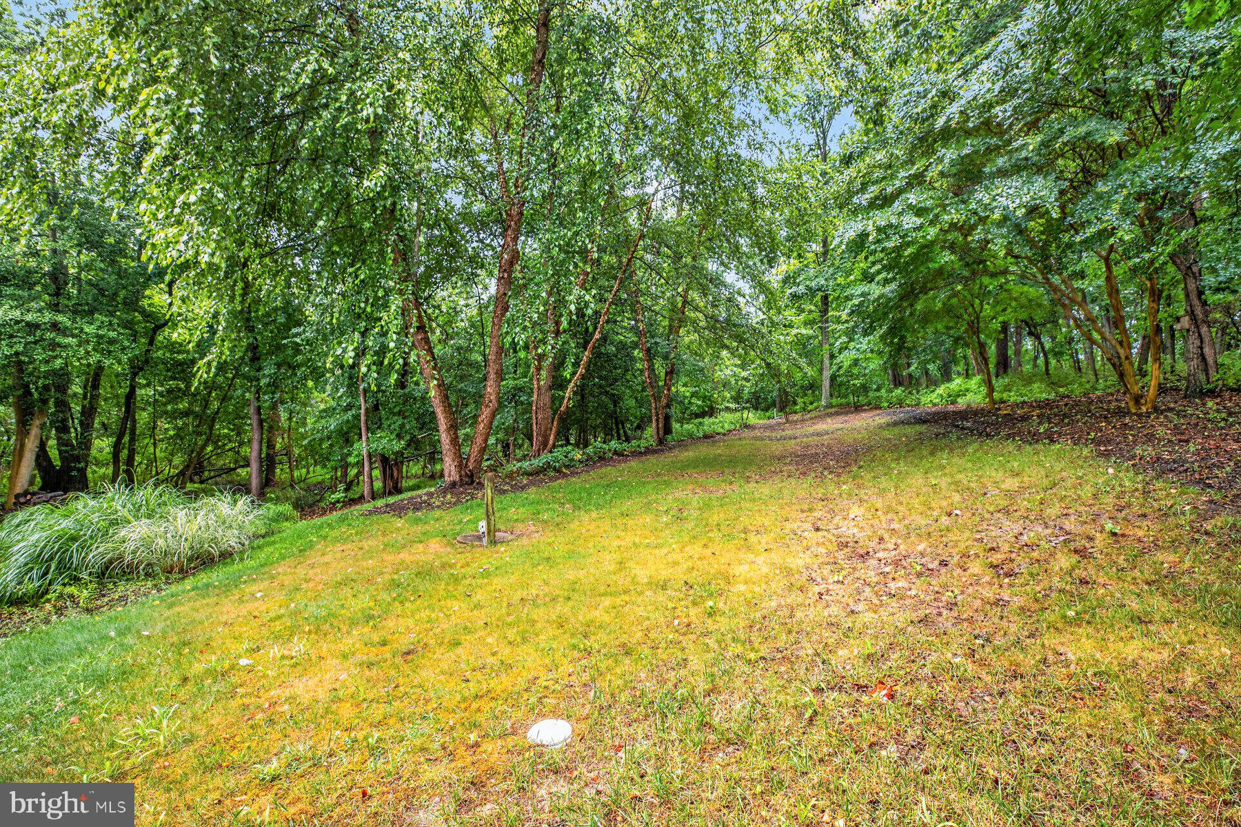 SAYBROOKE WOODS - Residential