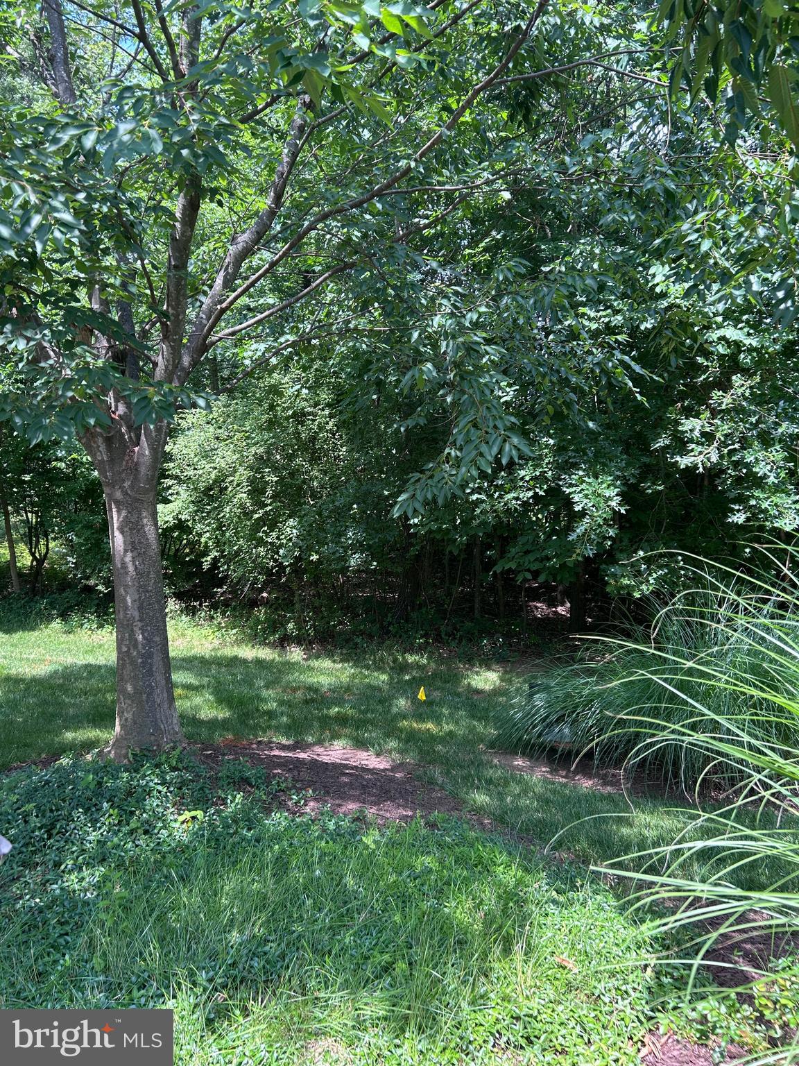 REGENCY AT DOMINION VALLEY - Residential