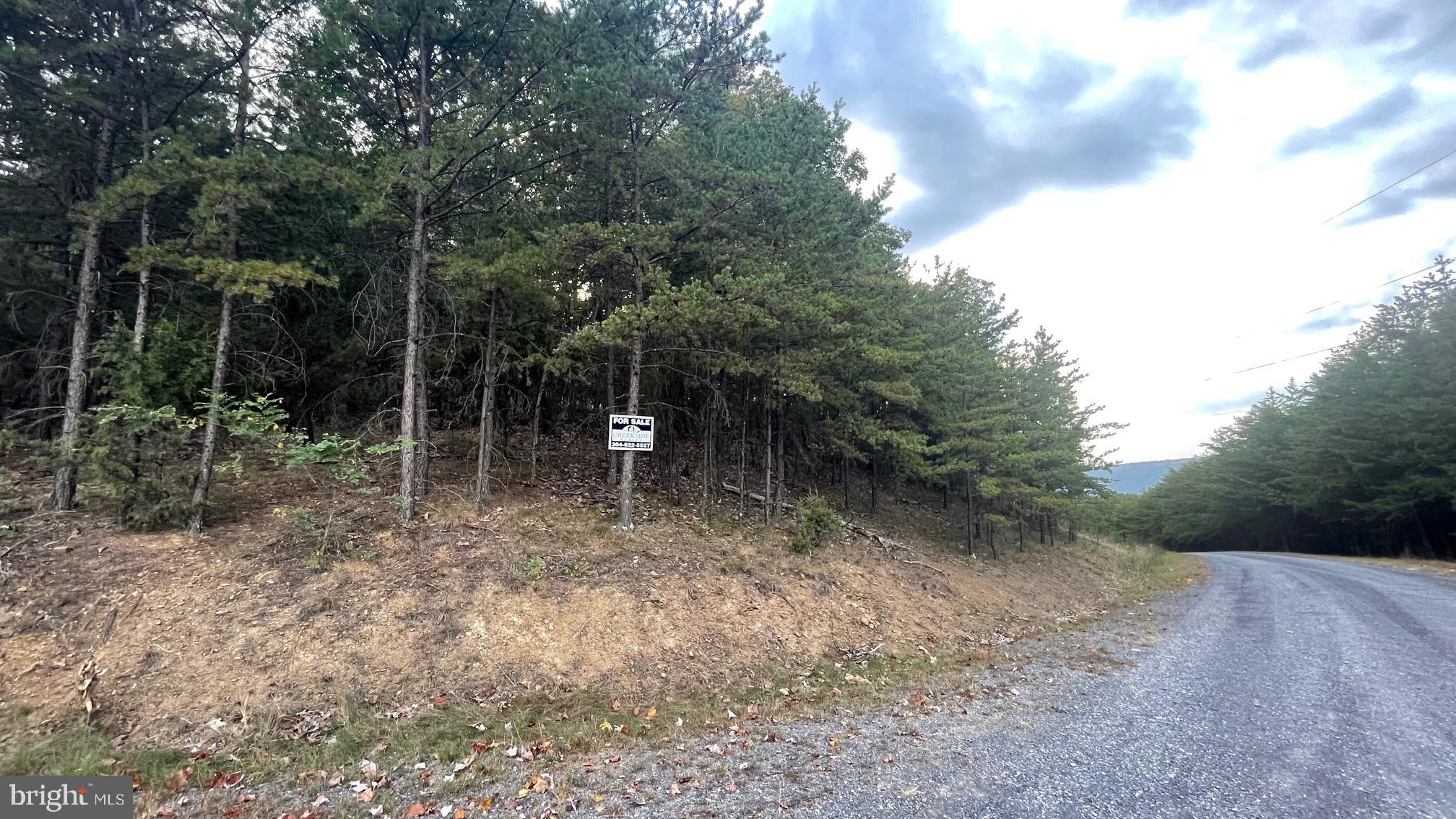 WHITETAIL MOUNTAIN - Land