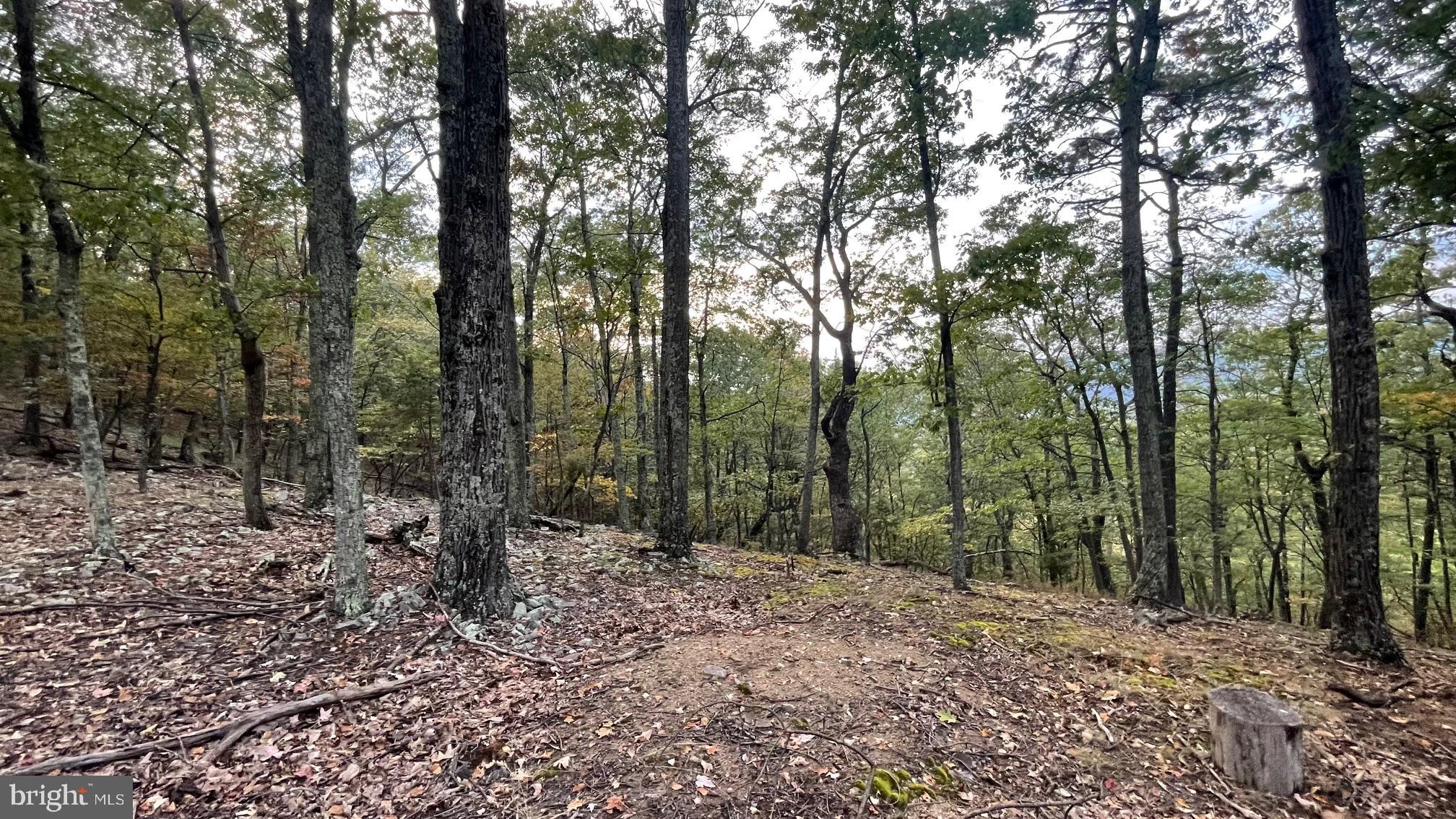 WHITETAIL MOUNTAIN - Land