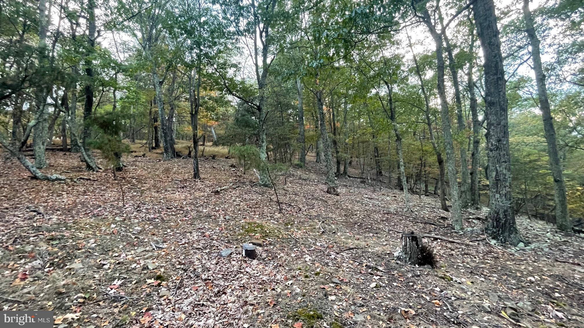 WHITETAIL MOUNTAIN - Land