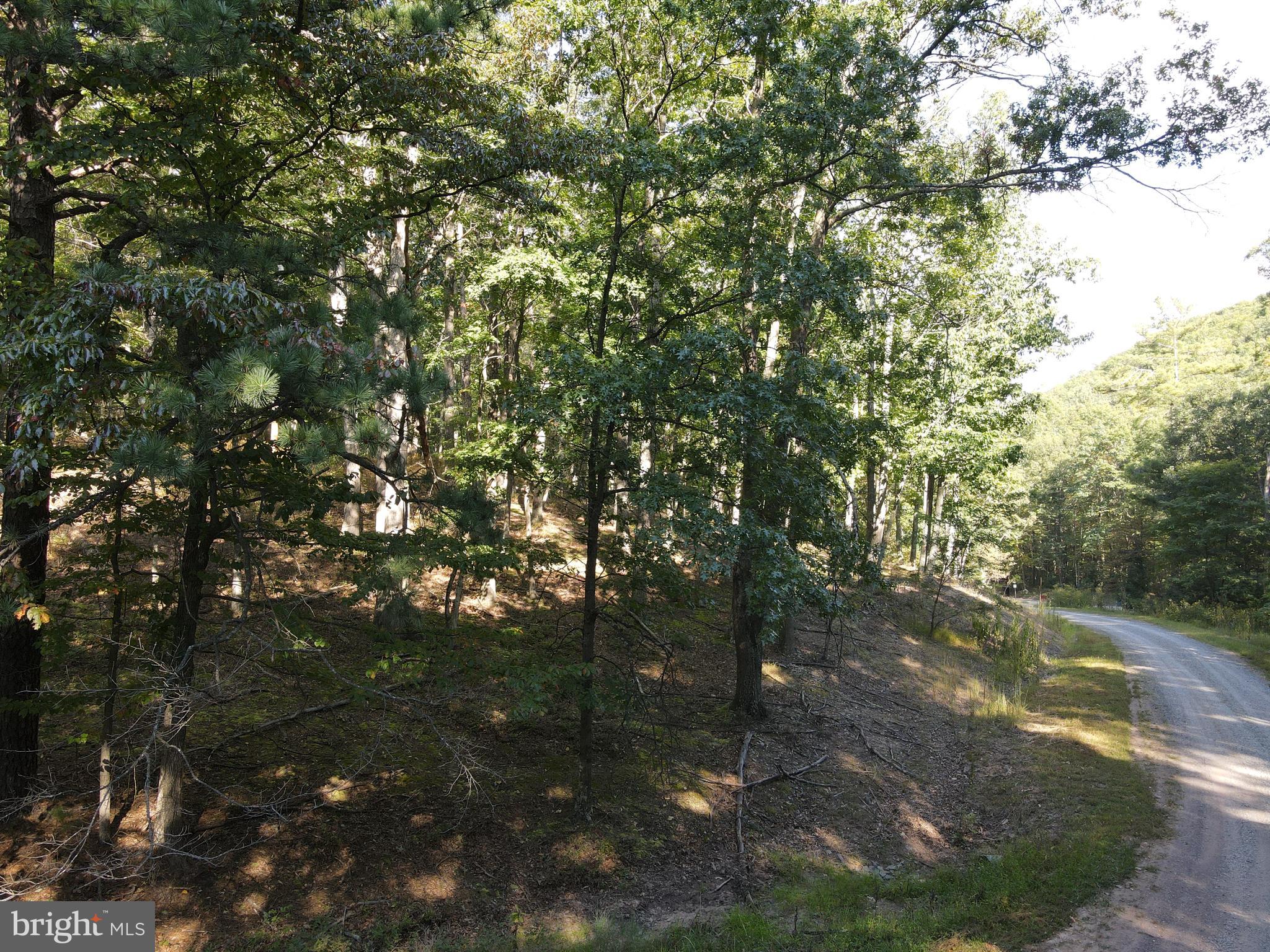WHITETAIL MOUNTAIN - Land