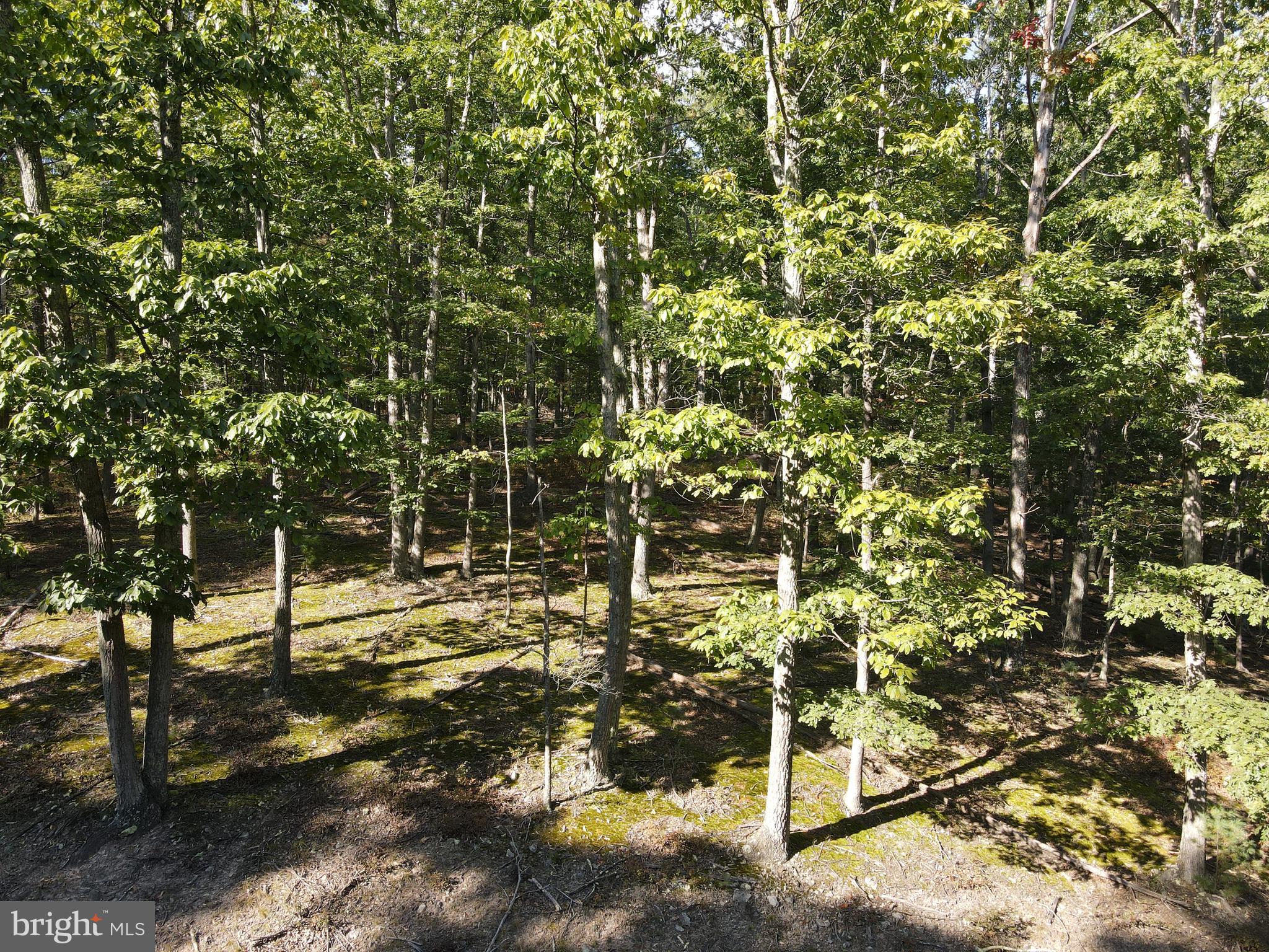 WHITETAIL MOUNTAIN - Land