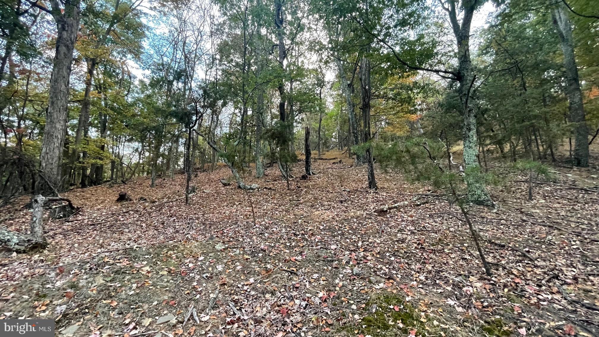 WHITETAIL MOUNTAIN - Land