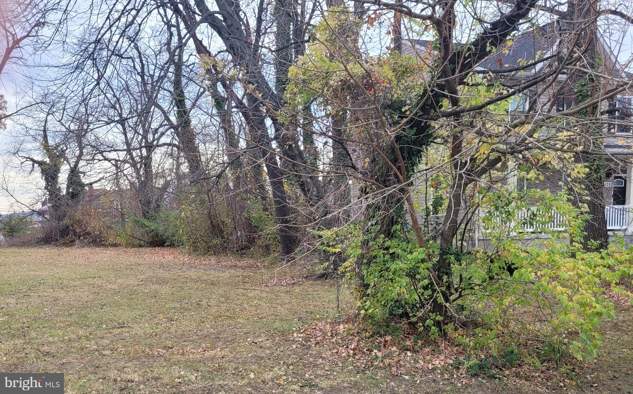 BACK RIVER HIGHLANDS - Land