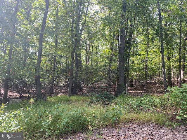 Fantastic piece of land, already partially cleared. Wooded, private, large lot. Part of the sought-after Jackson Mt. Estates. Minutes to Frederick but no city taxes!